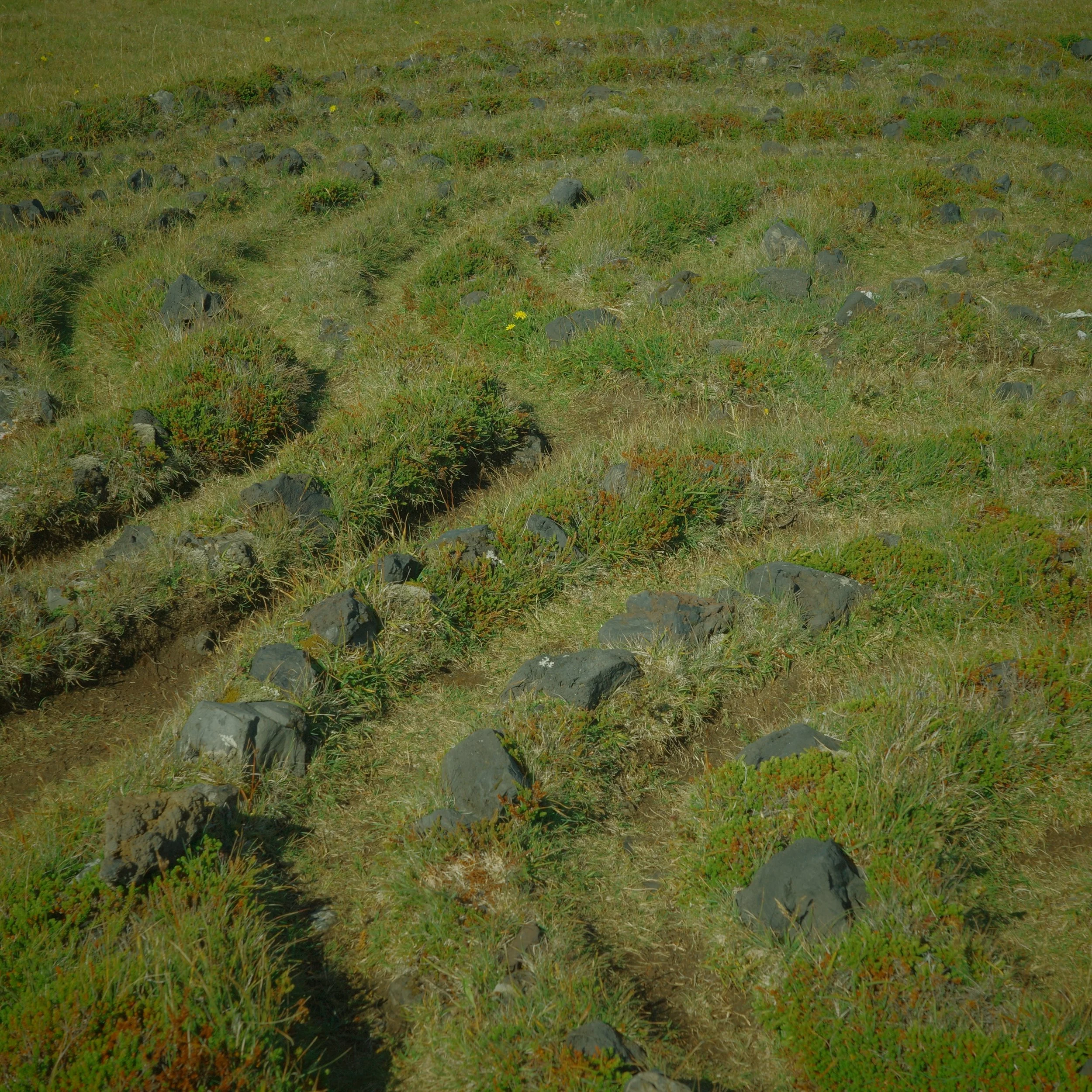 R0007712.JPG