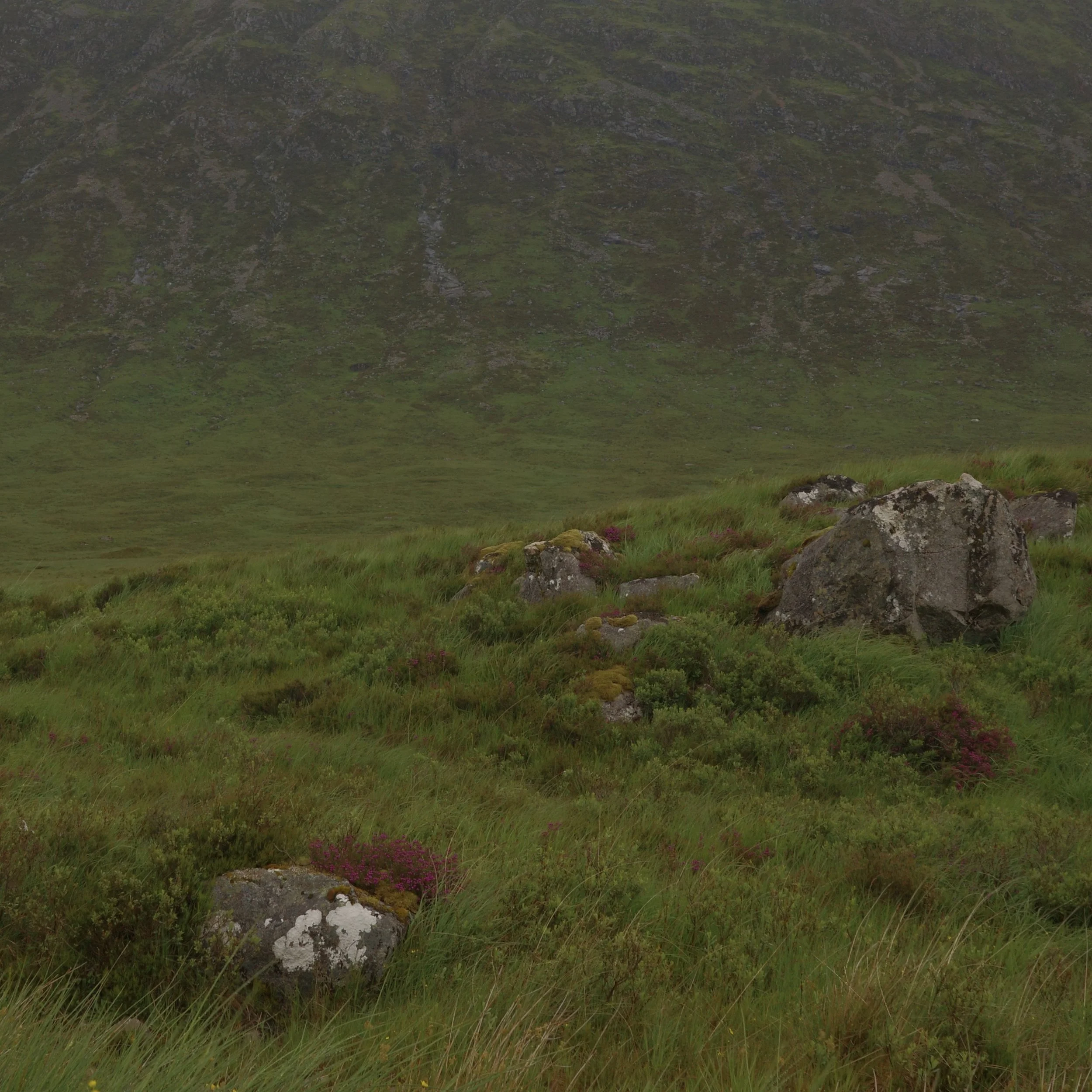 R0003951.jpg