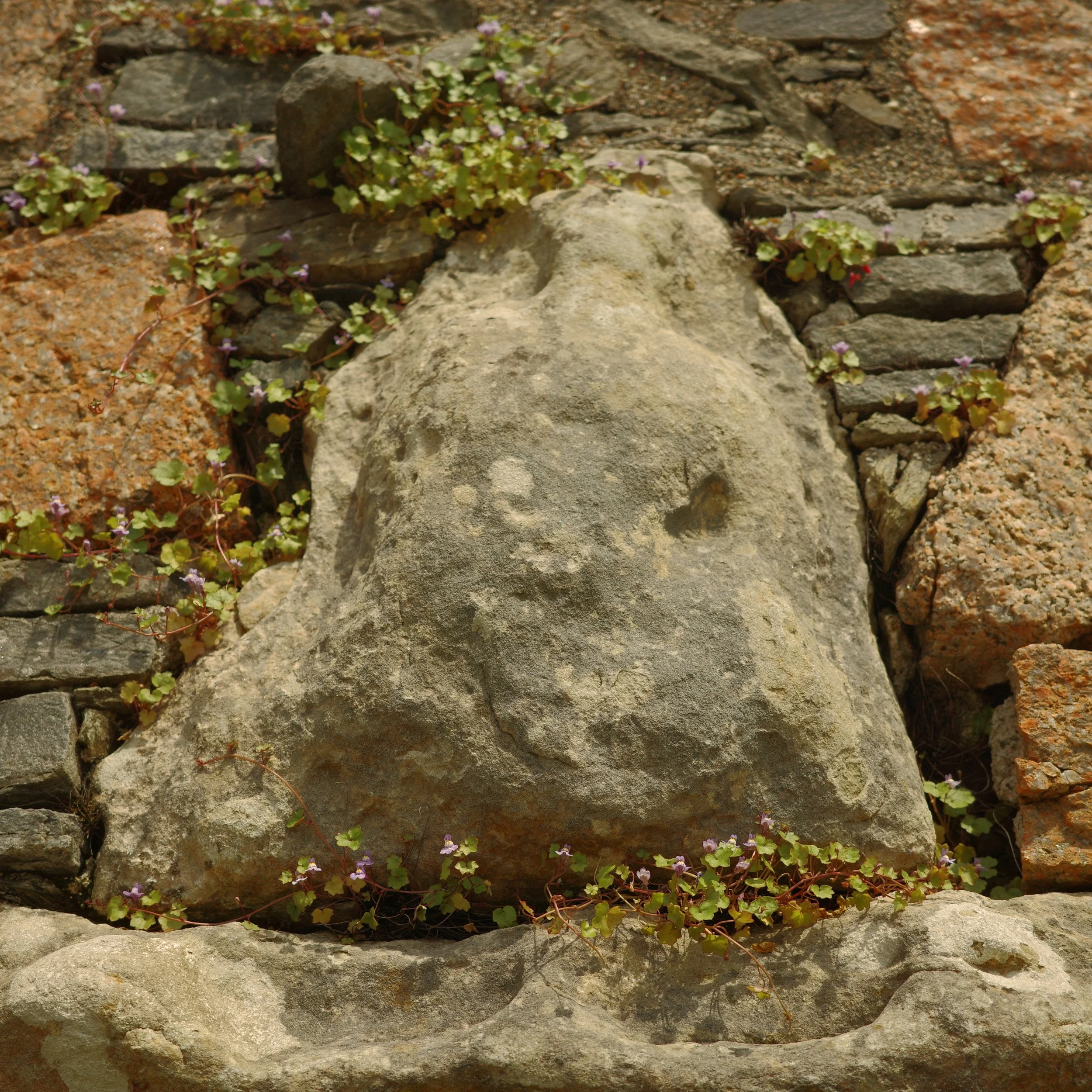 R0004122.JPG