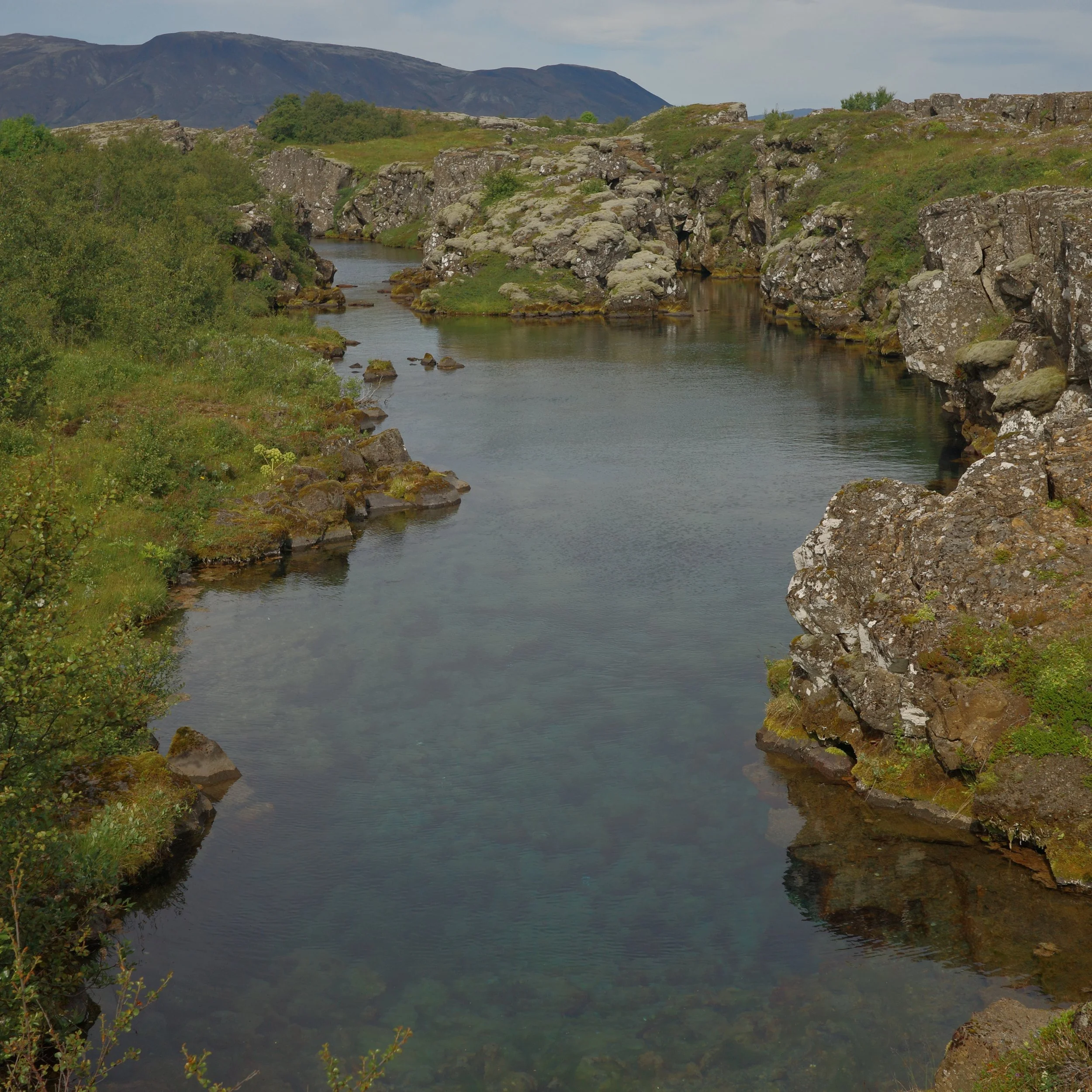 R0005218.JPG