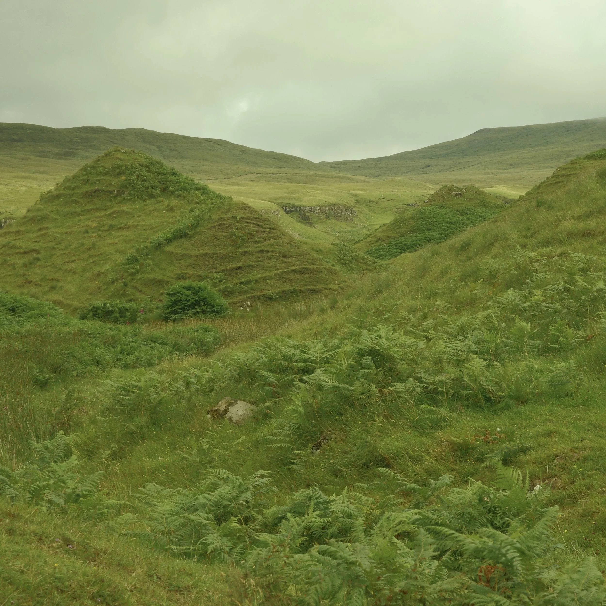 R0004876.jpg