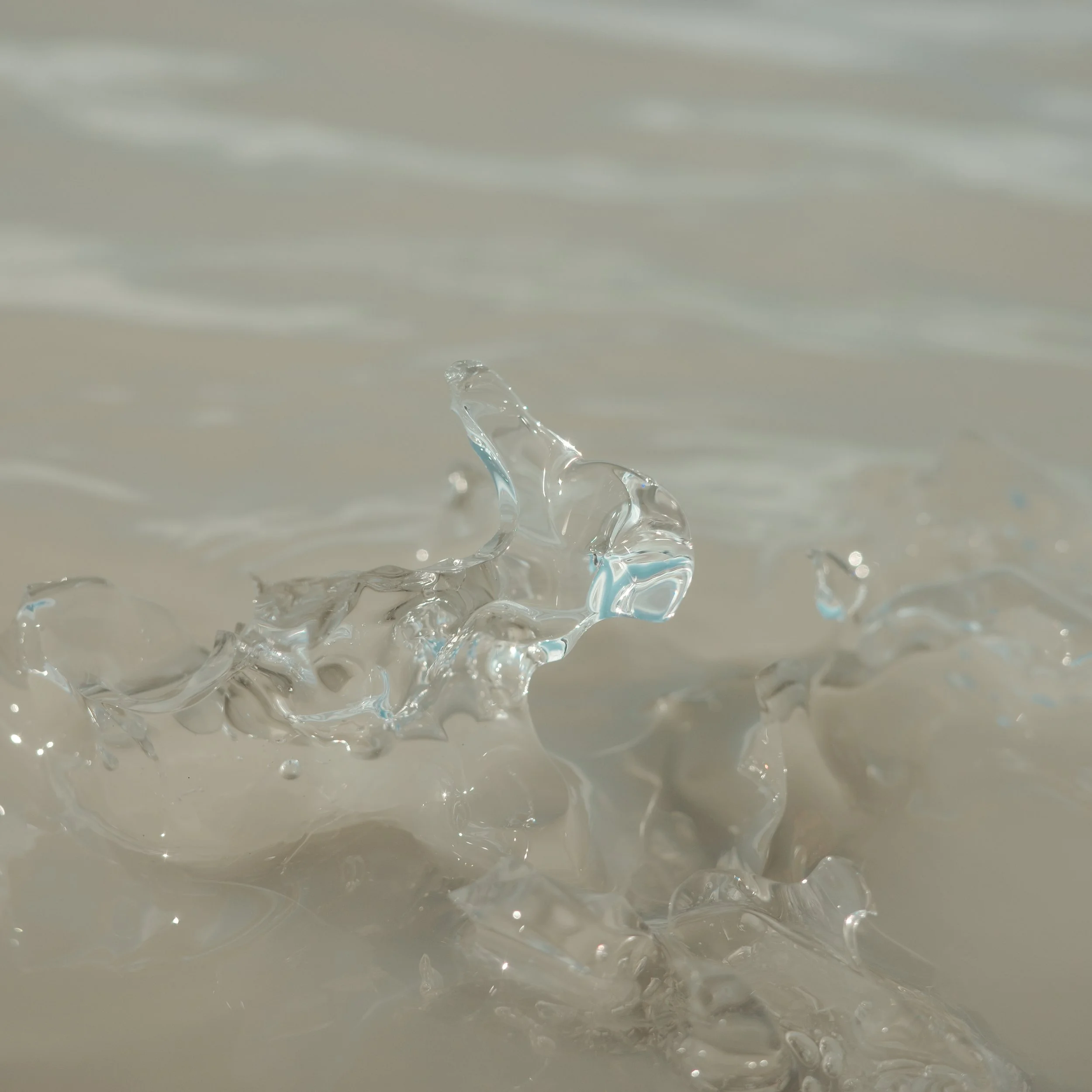 R0005938.JPG