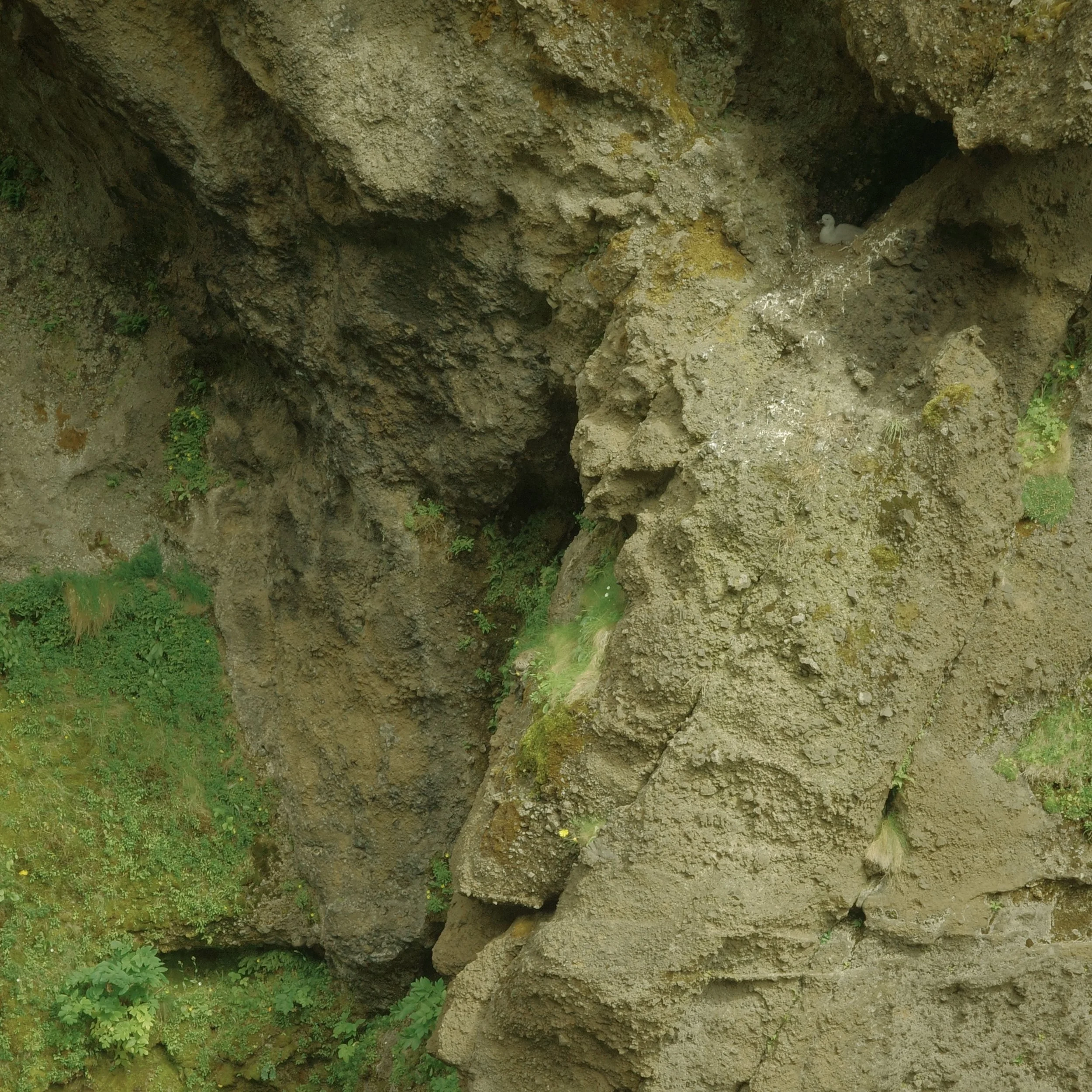 R0005408.jpg