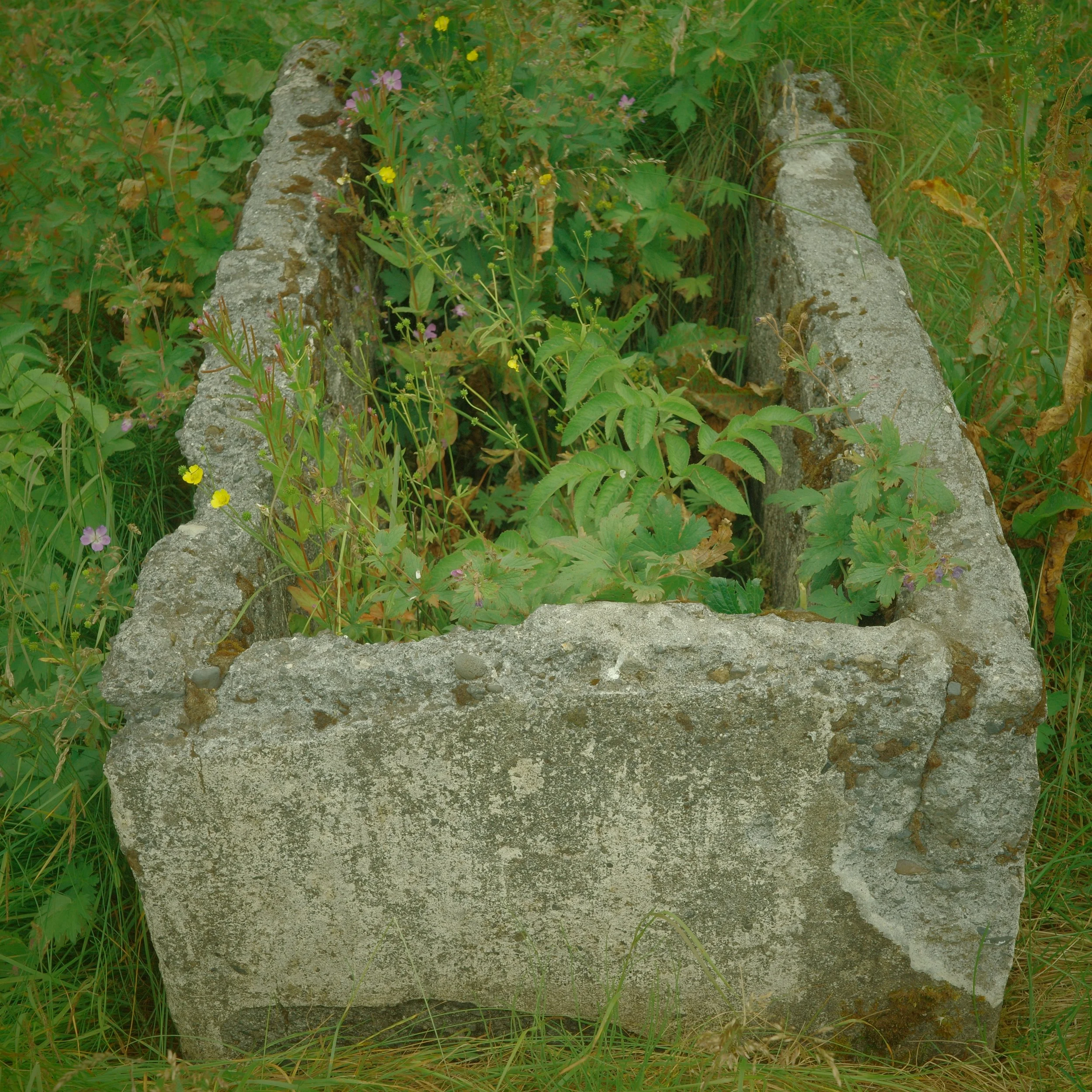 R0005351.JPG