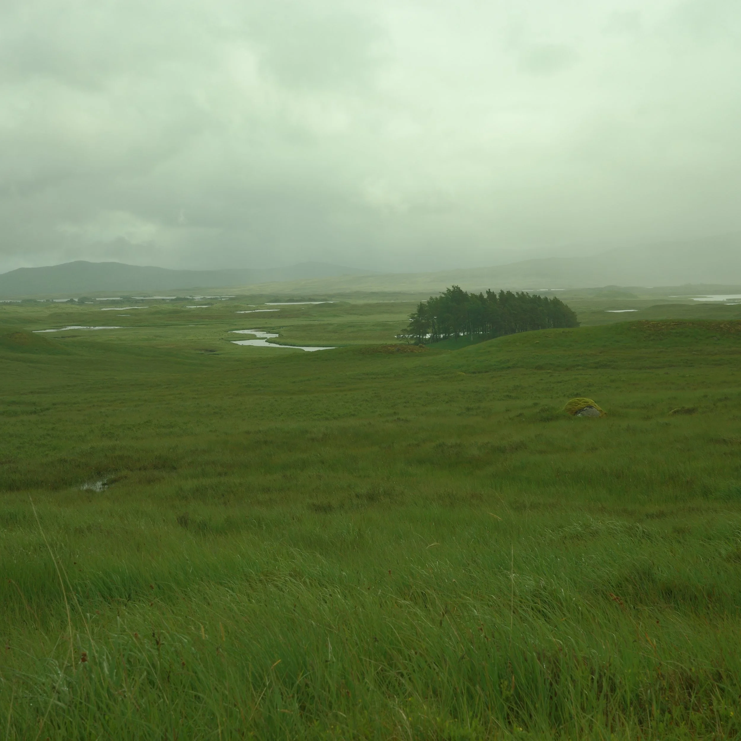 R0003925.JPG