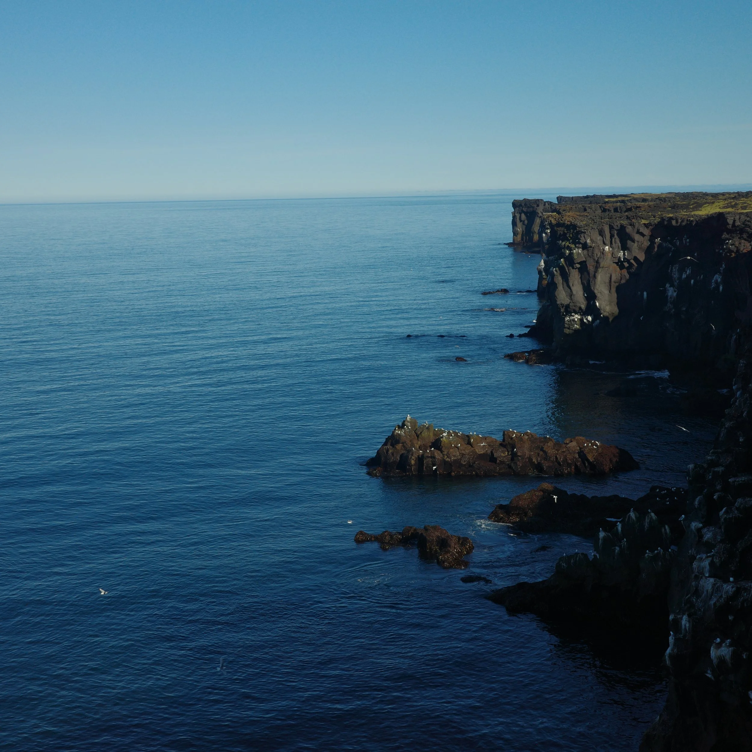 R0007673.JPG