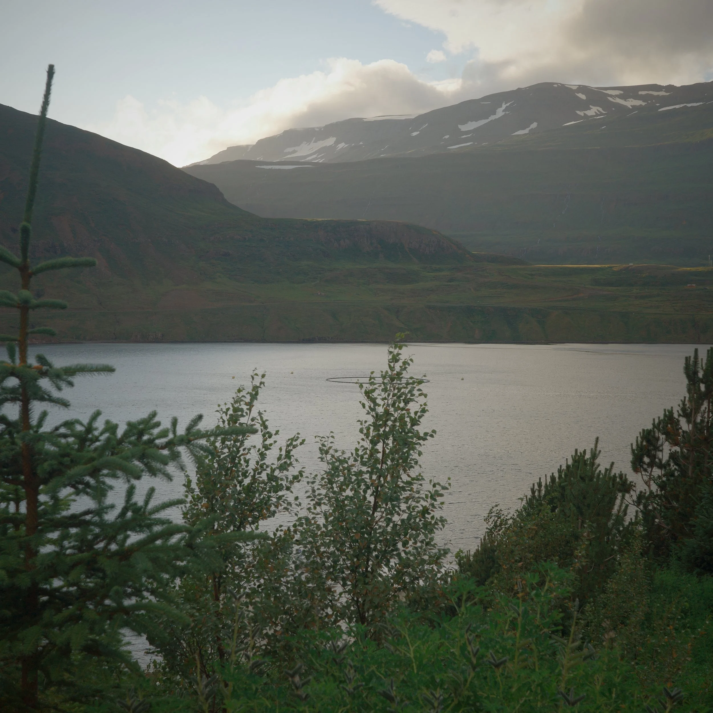 R0006237.JPG