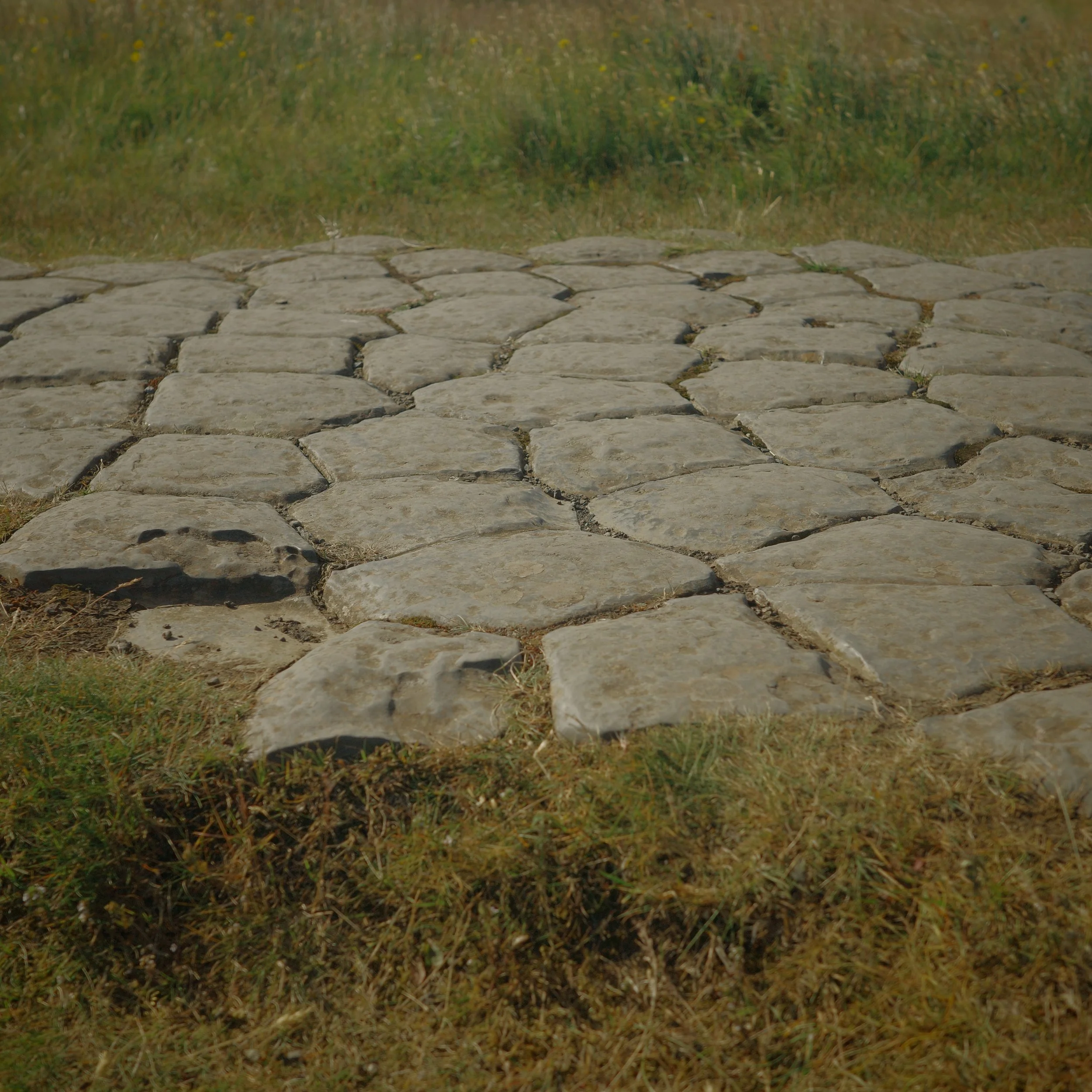 R0005639 2.JPG