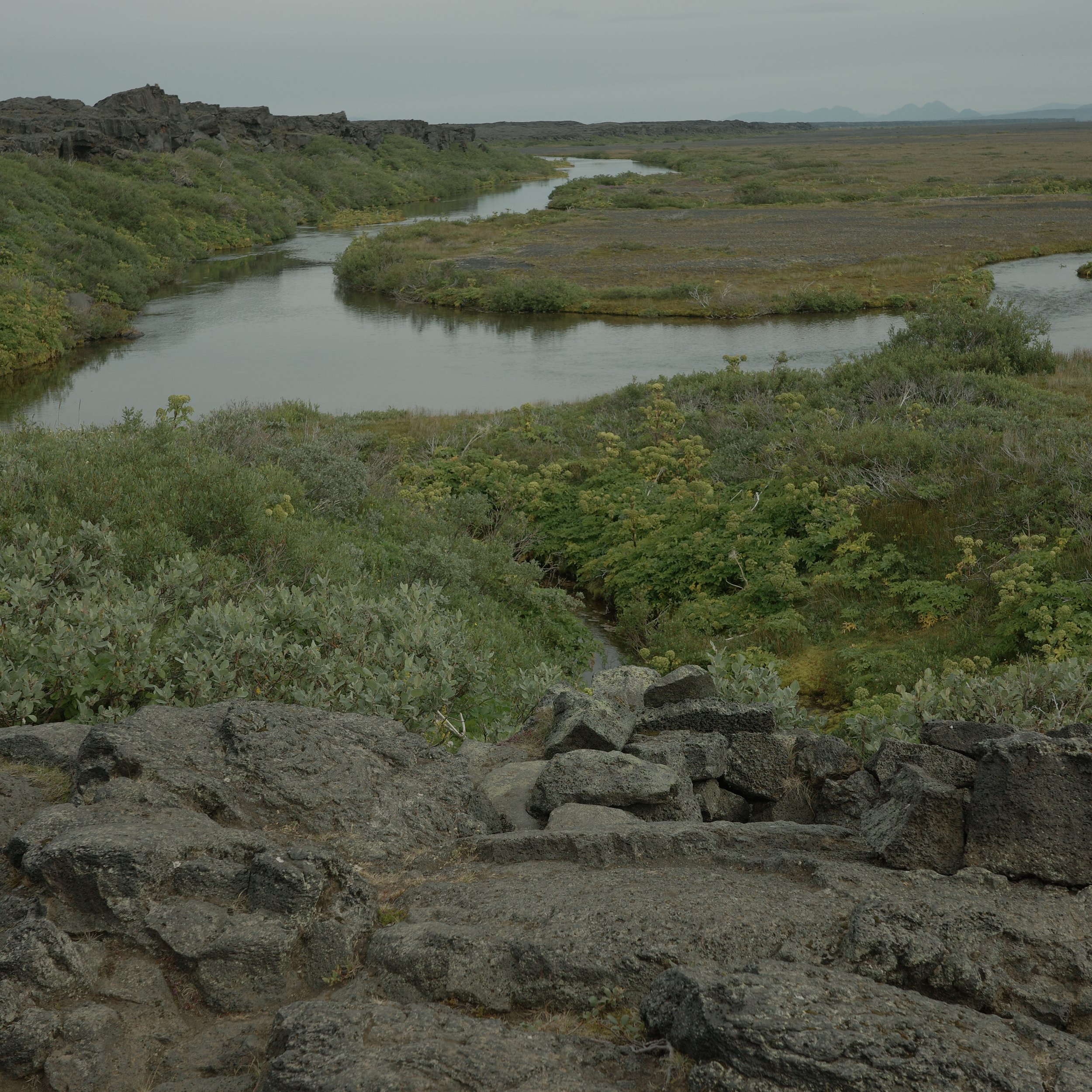 R0007072.JPG