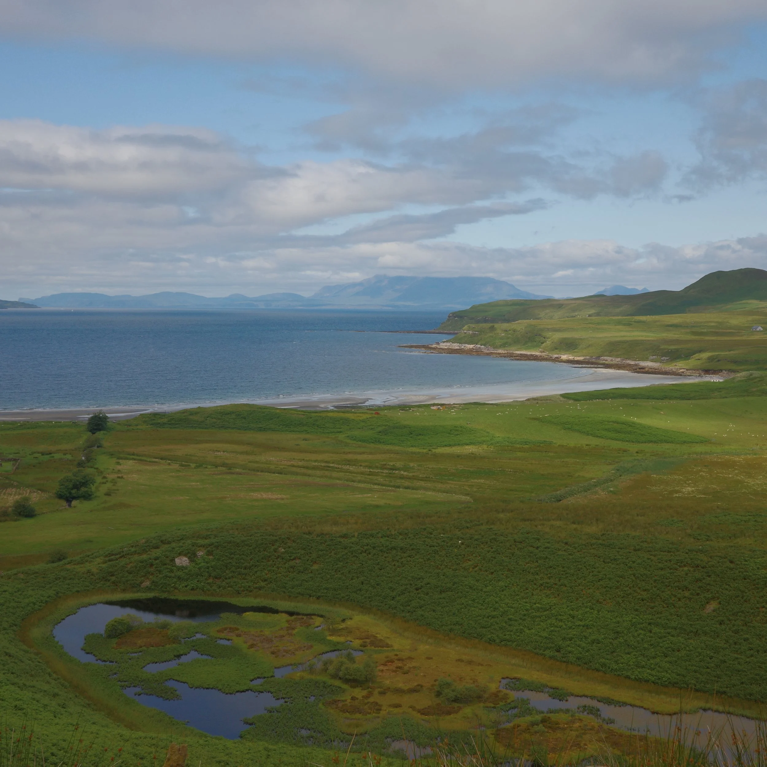 R0004523 2.JPG