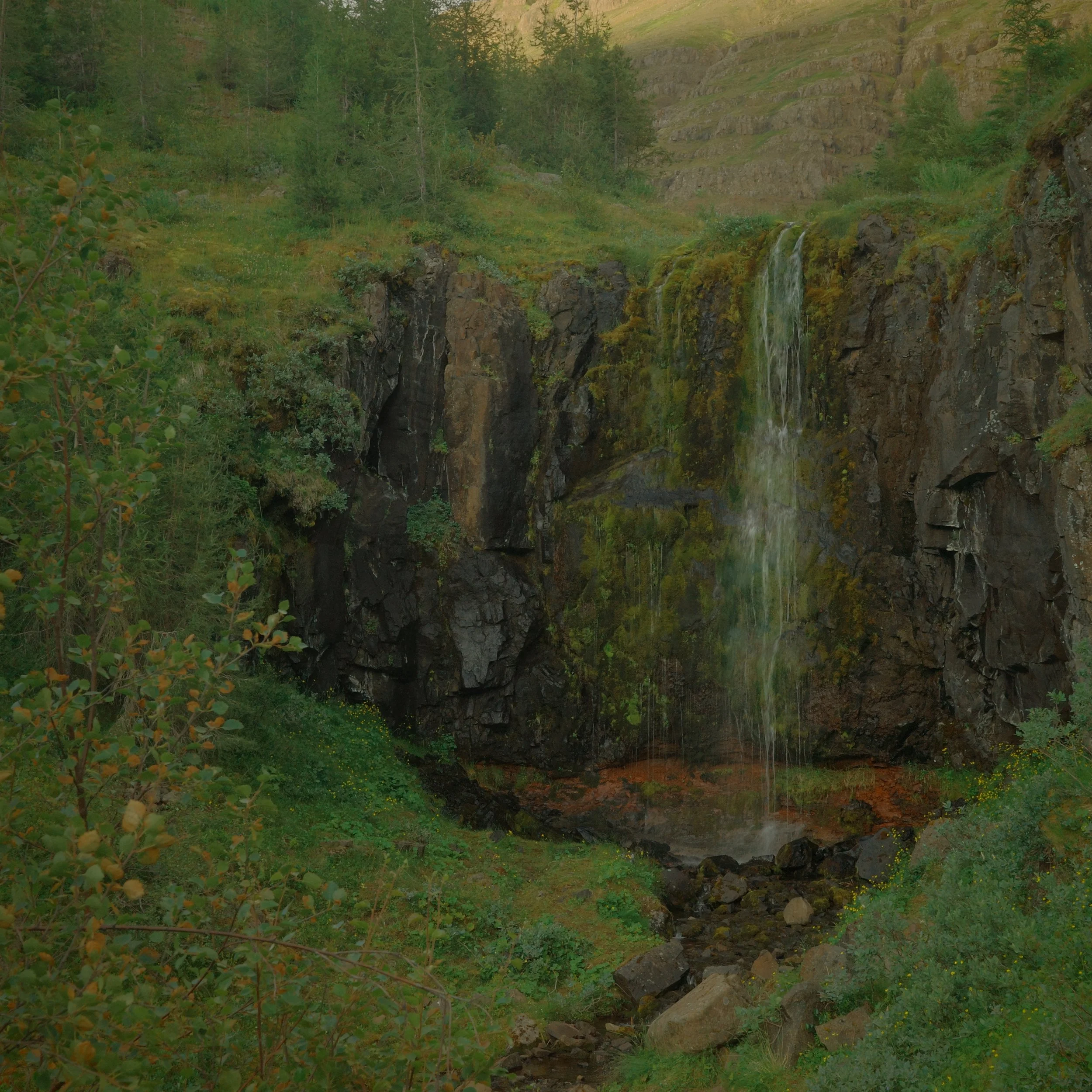 R0006324.JPG