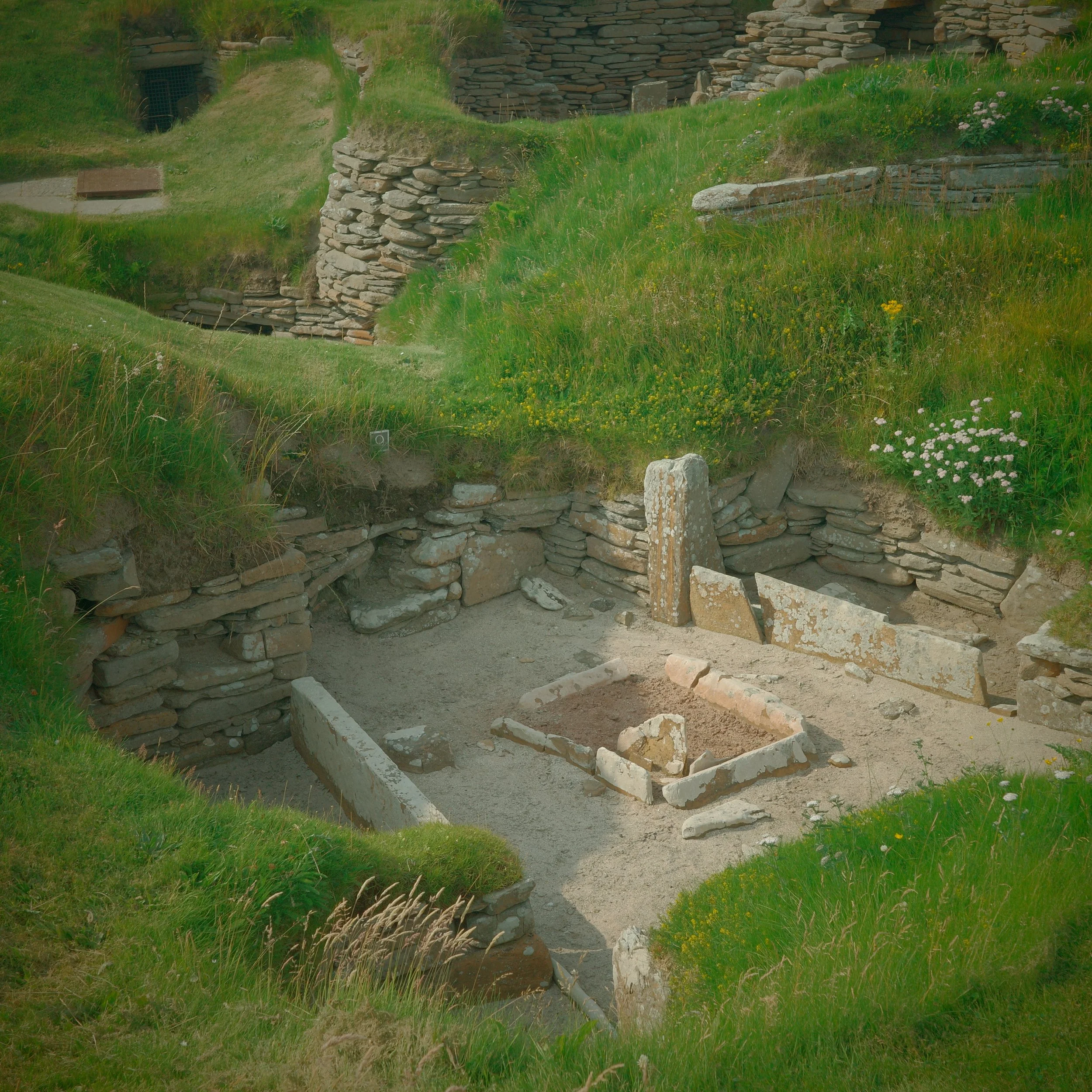 R0004463 2.JPG
