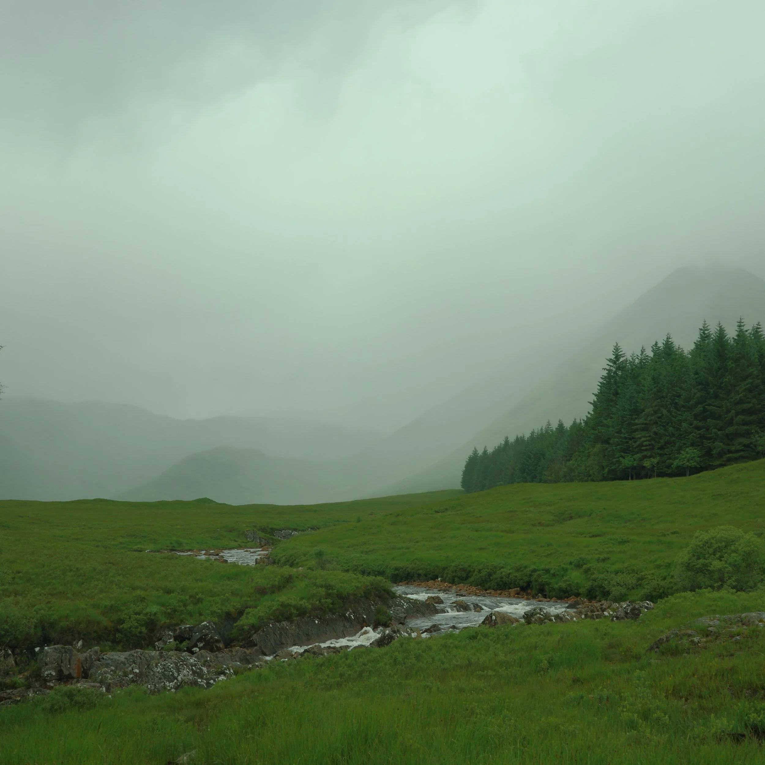 R0003921.JPG