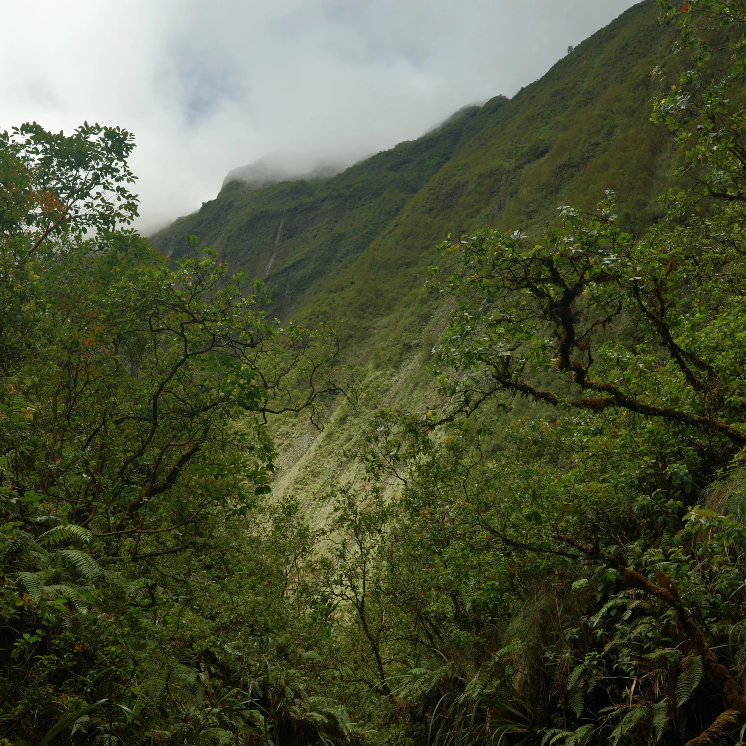 R0003591.JPG