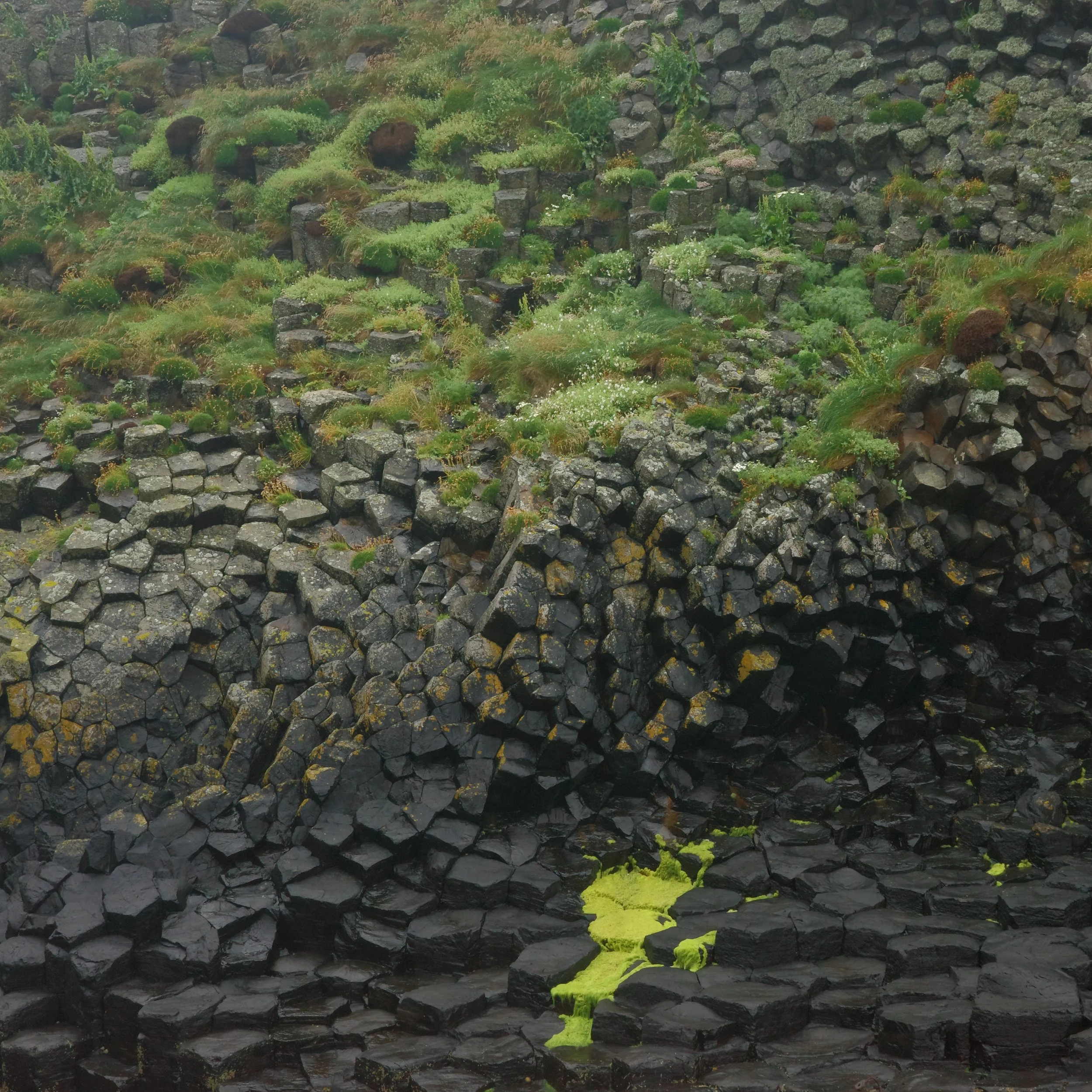 R0004052.JPG