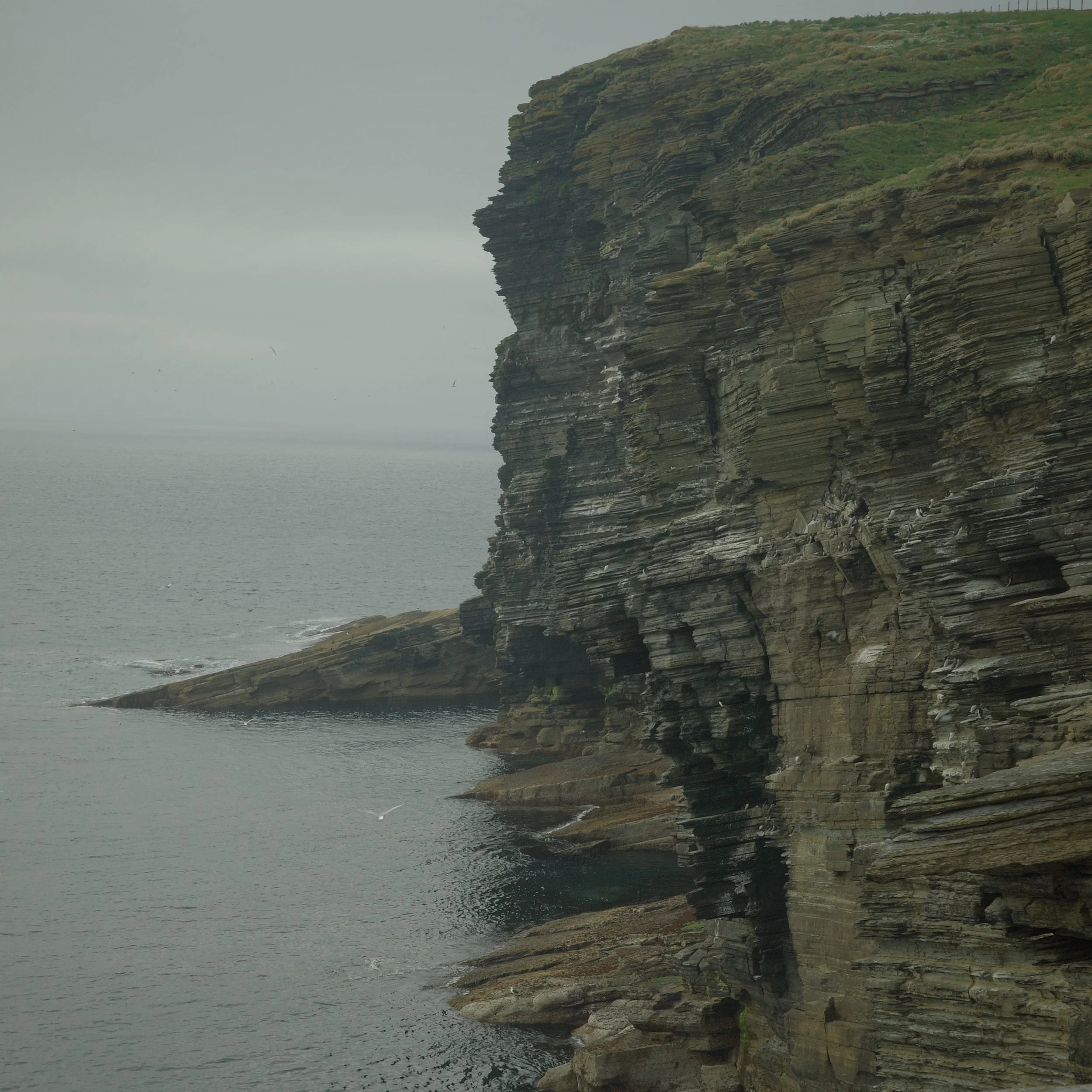 R0004491 2.jpg