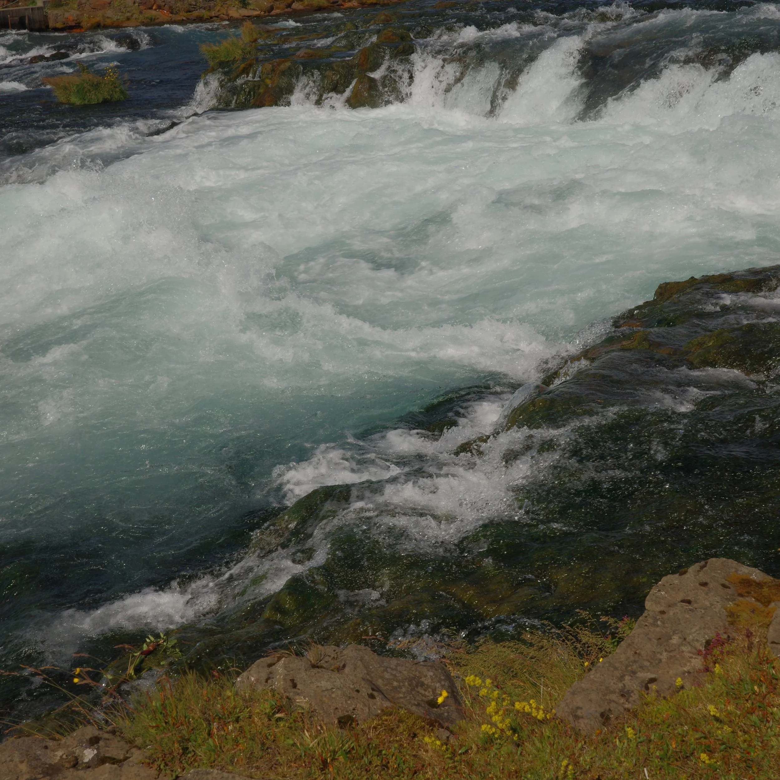 R0005304.JPG