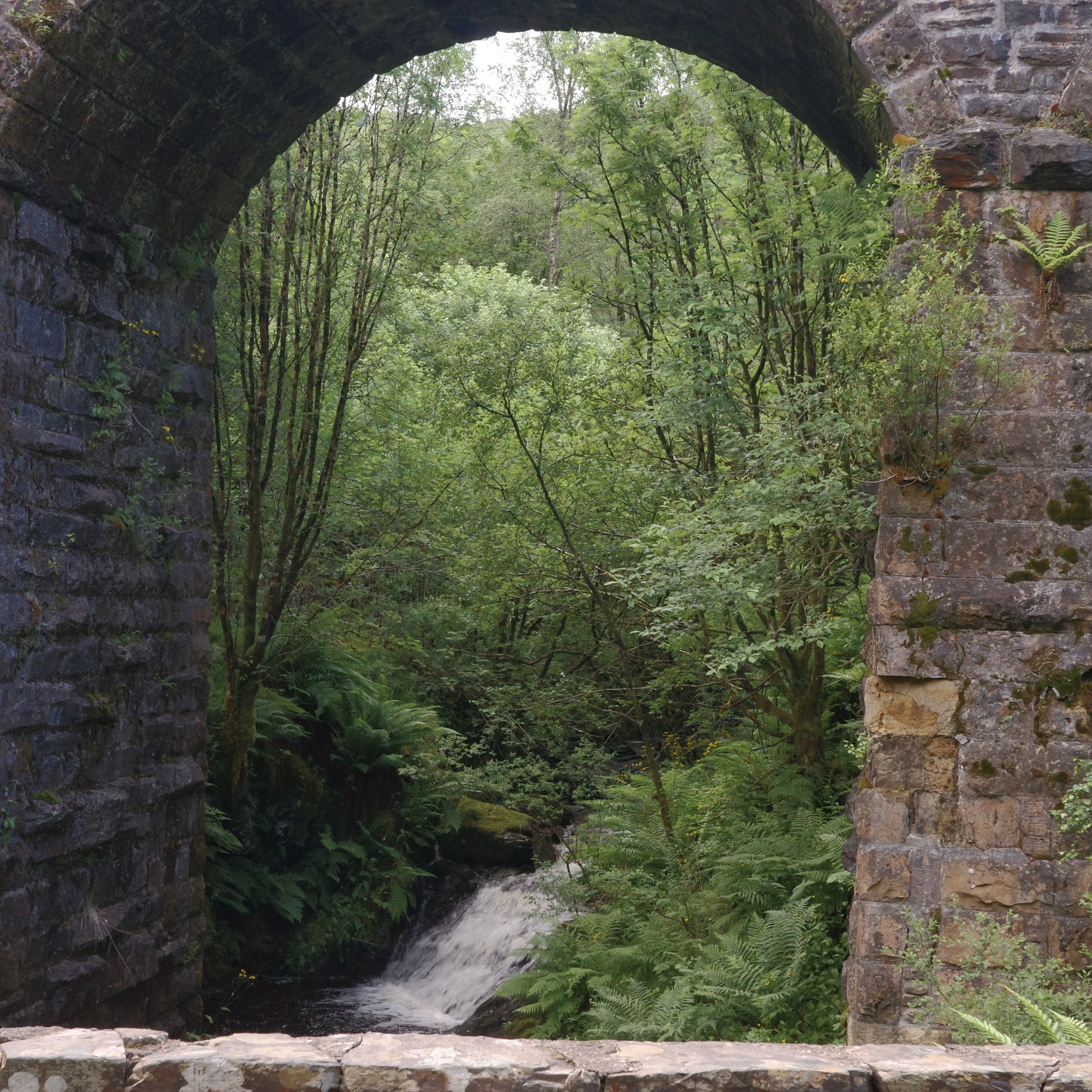 R0003884.jpg