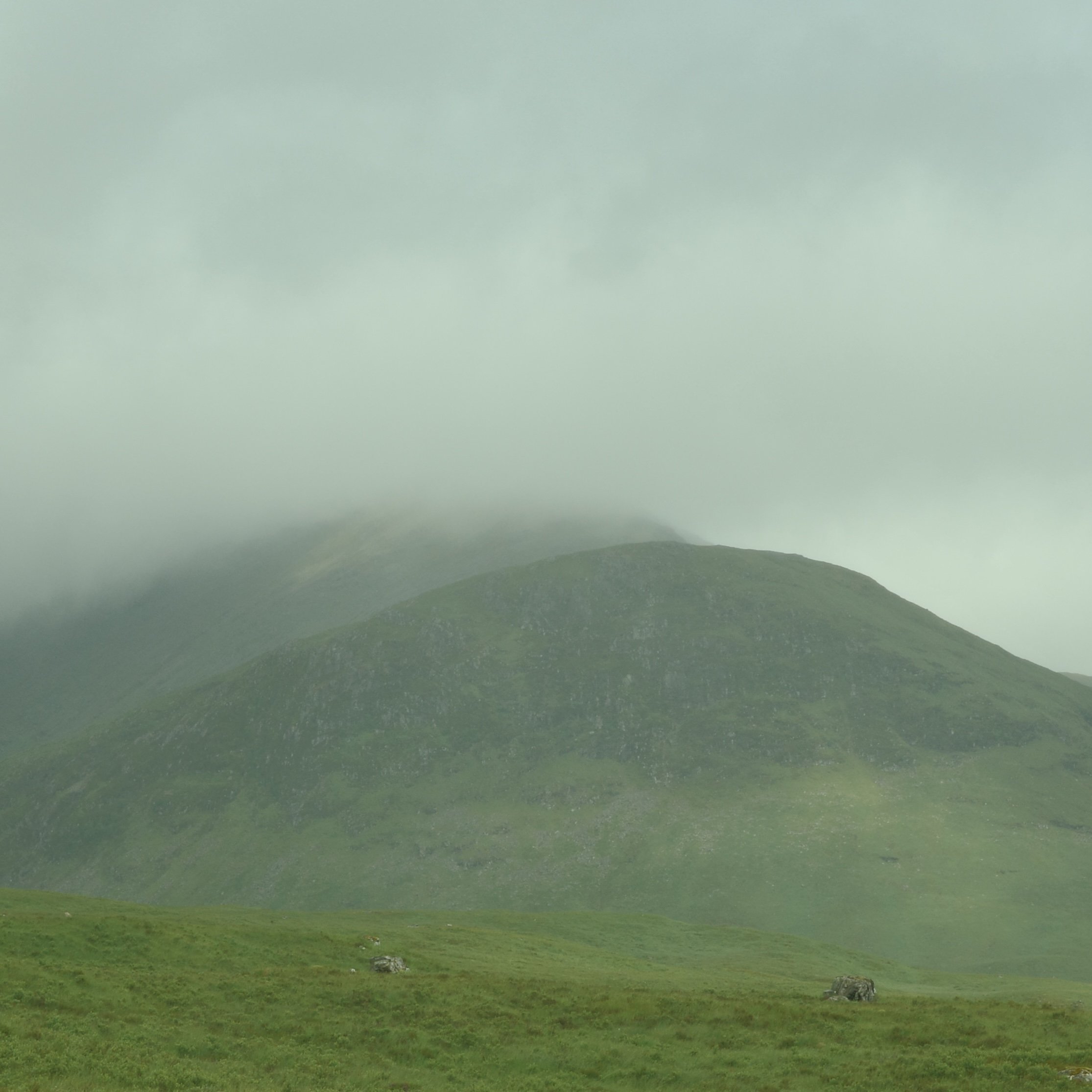 R0003916.jpg