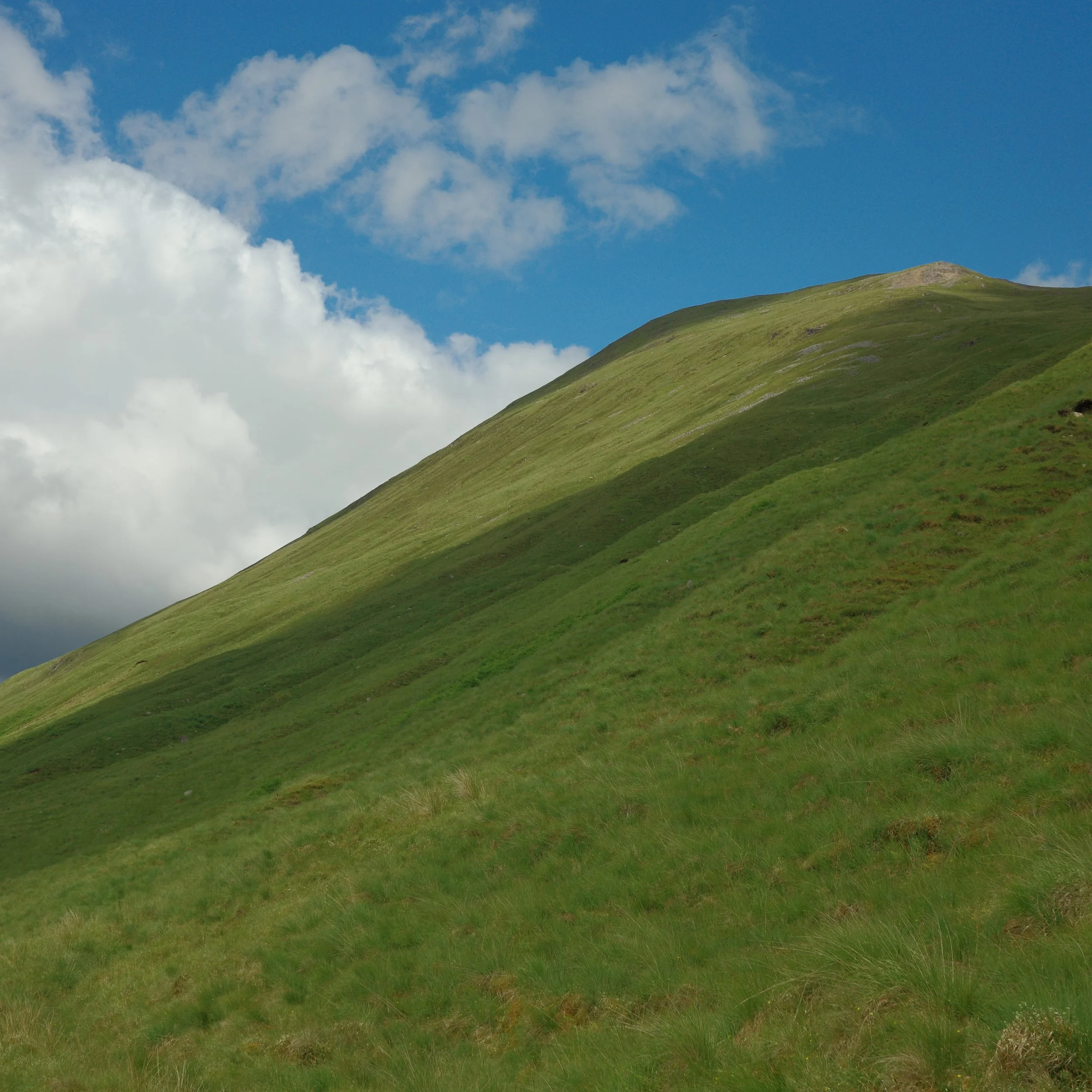 R0003895.JPG