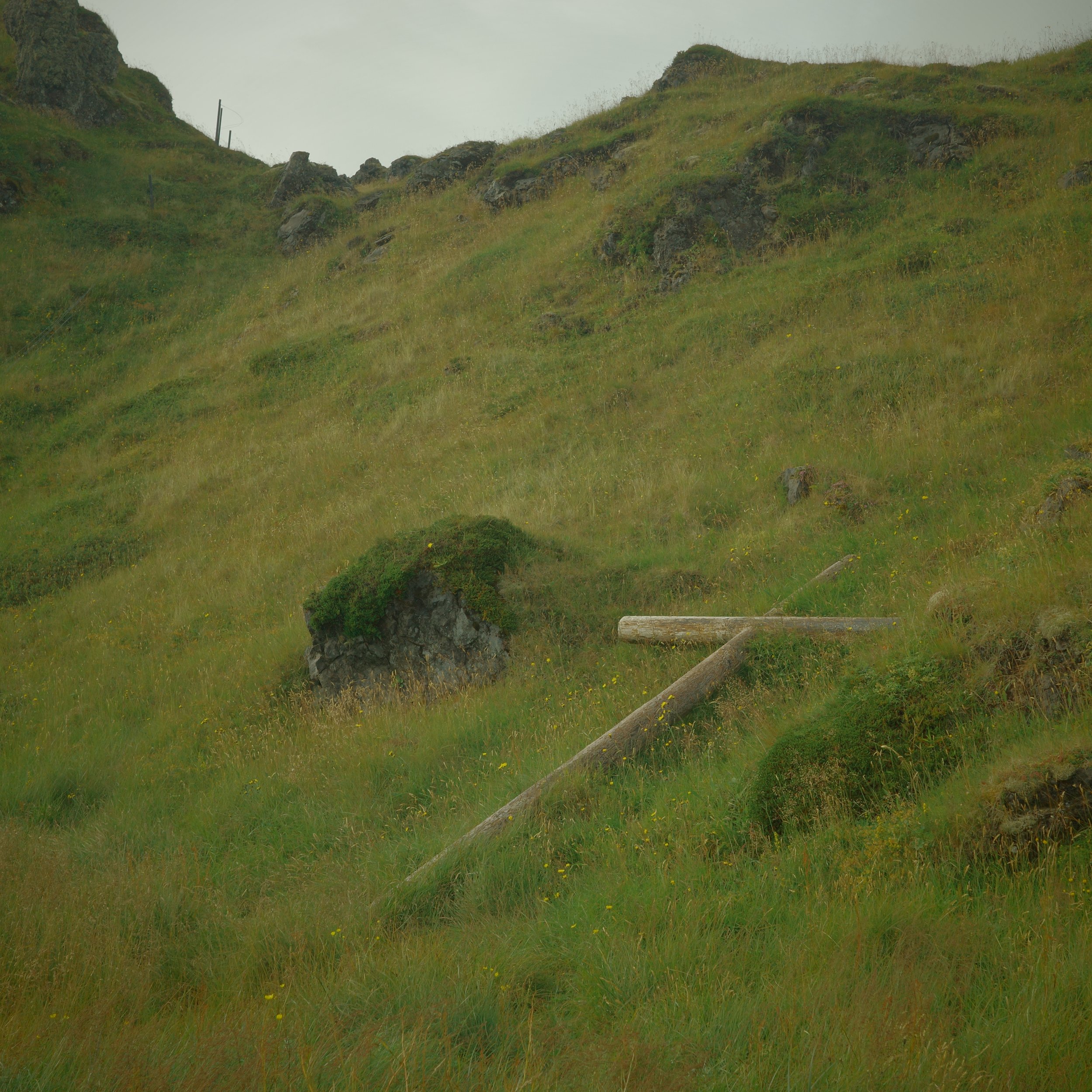 R0007408.JPG