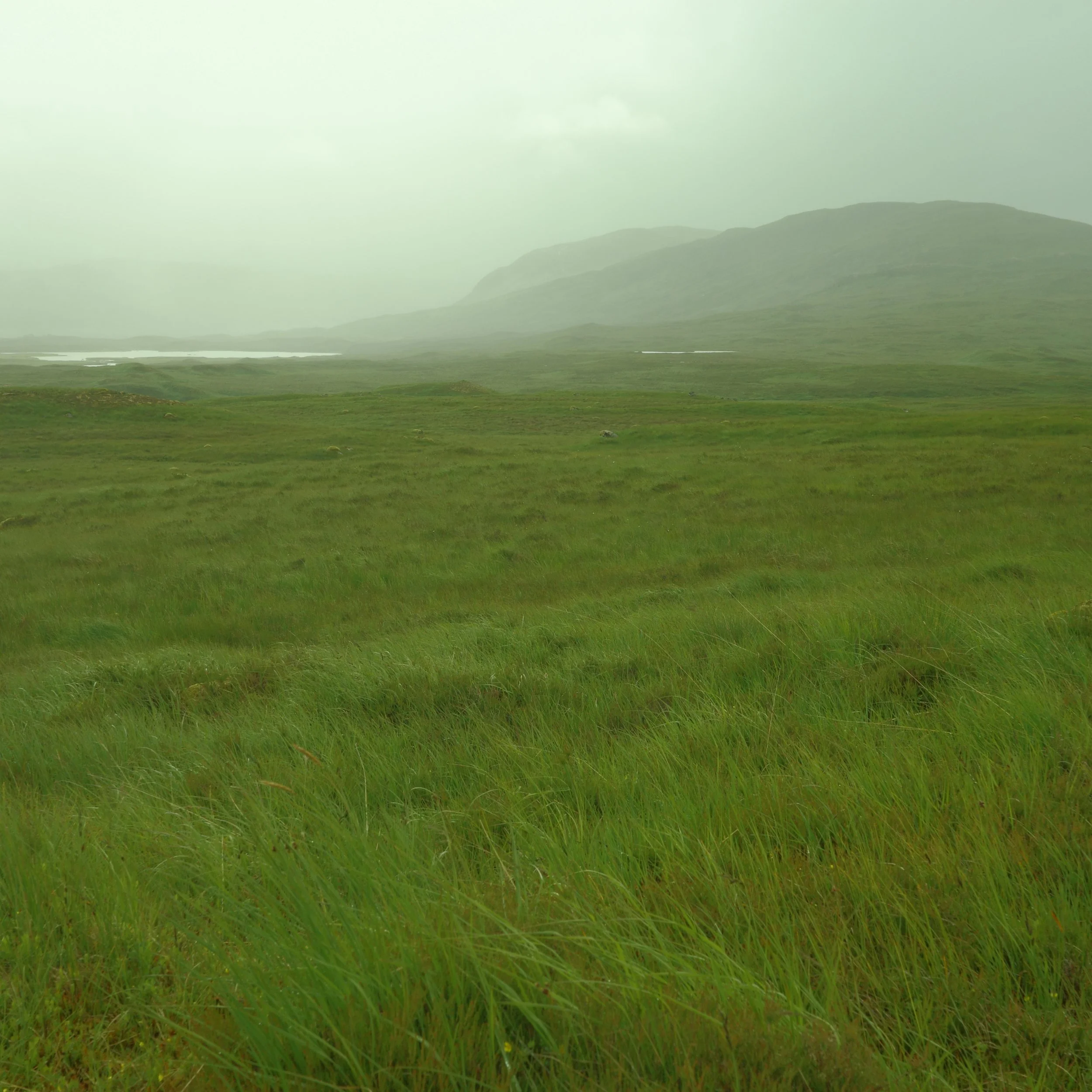 R0003926.JPG