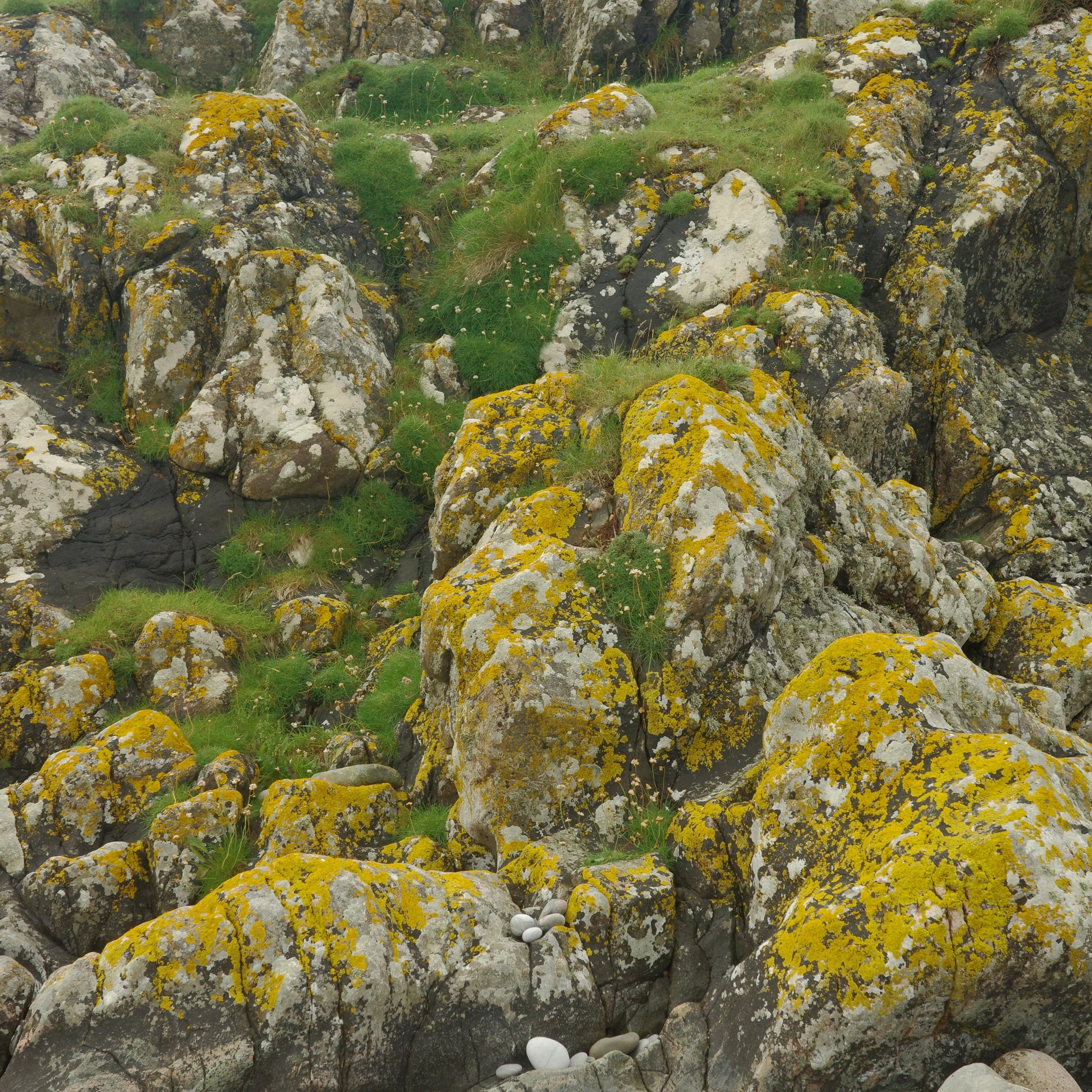 R0004257.JPG