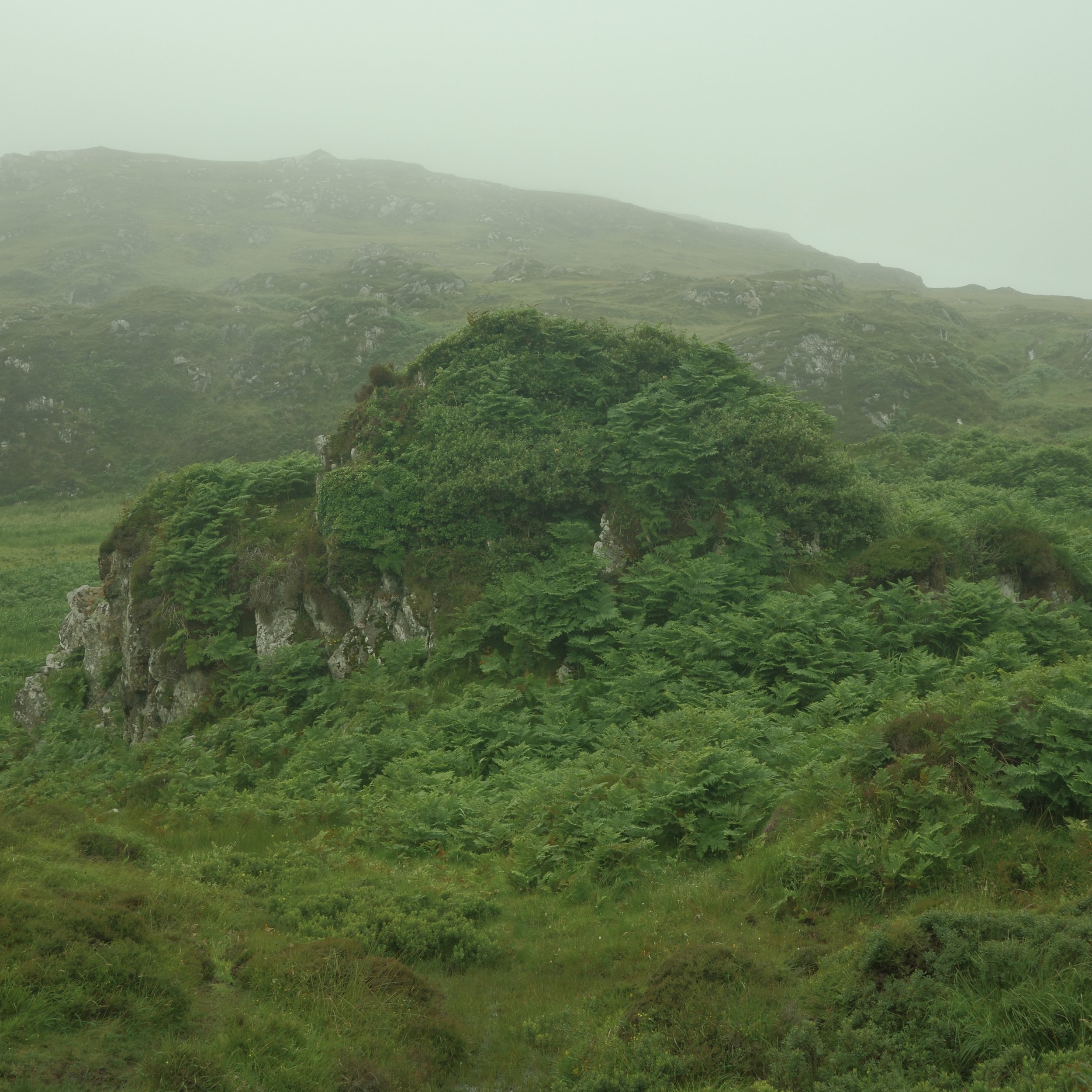 R0004081.jpg
