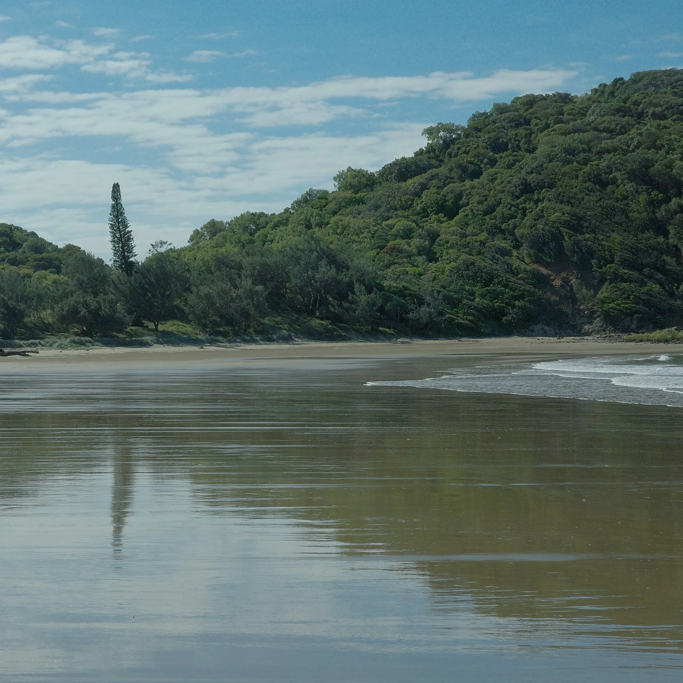 R0001089.jpg