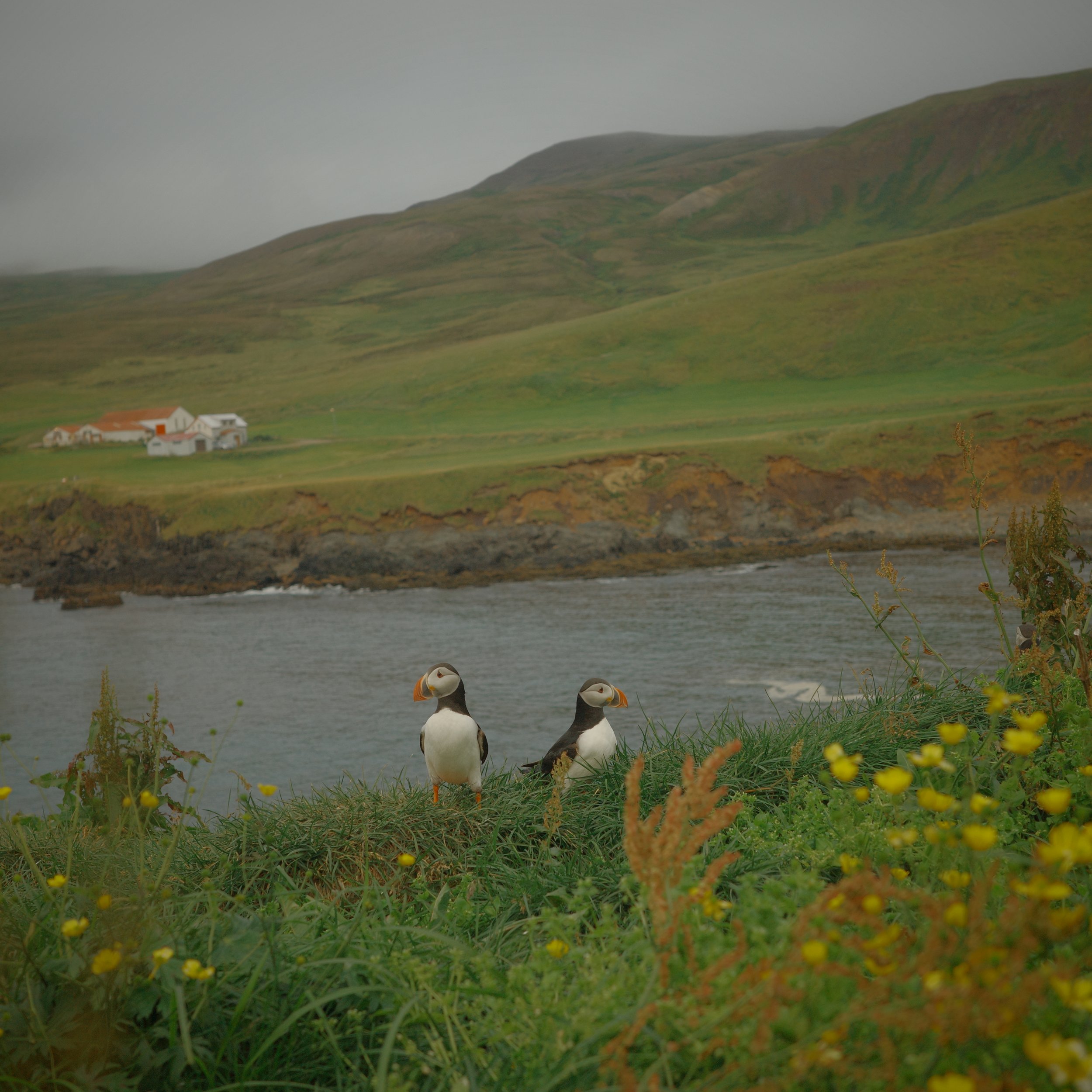 R0006413.JPG