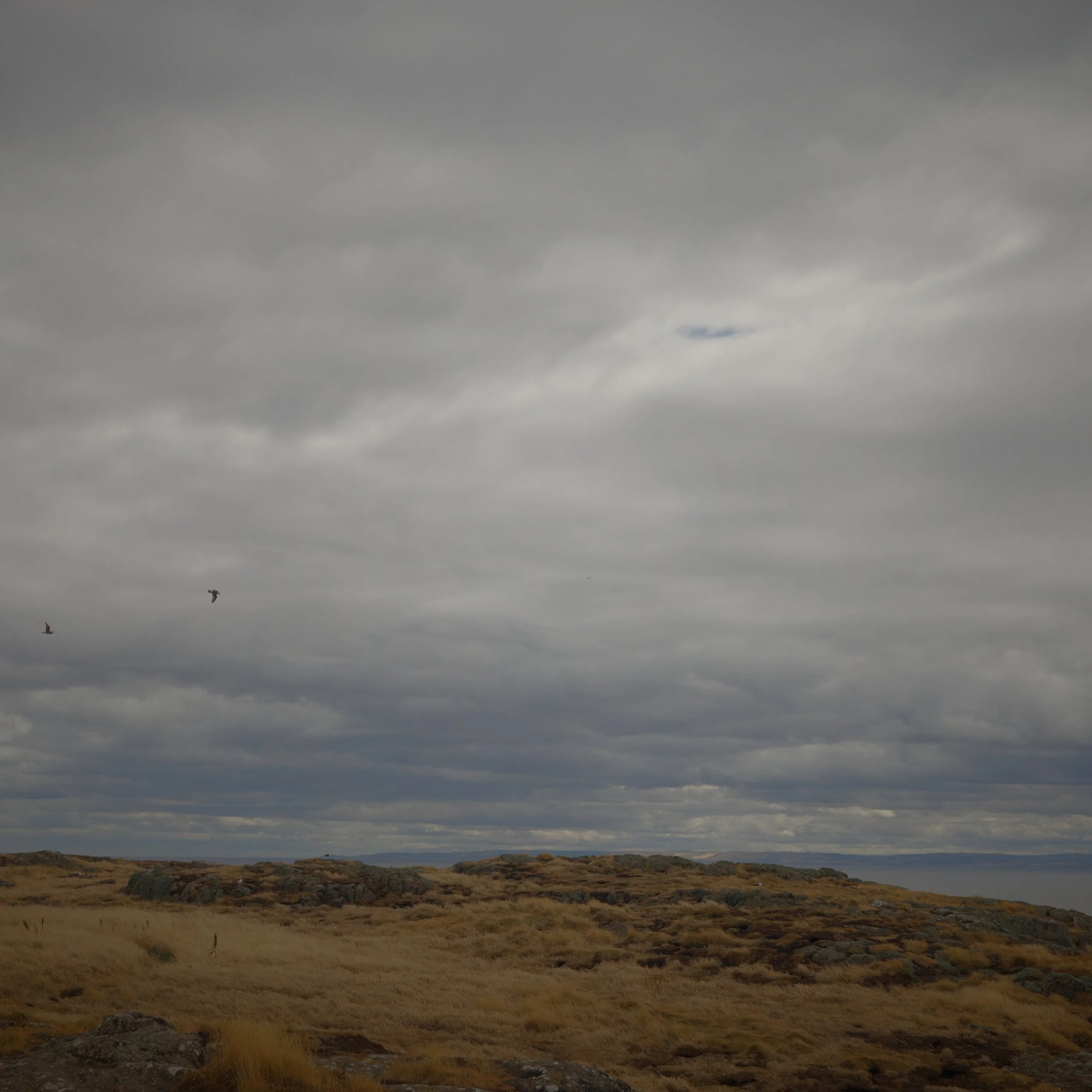 R0005011.JPG