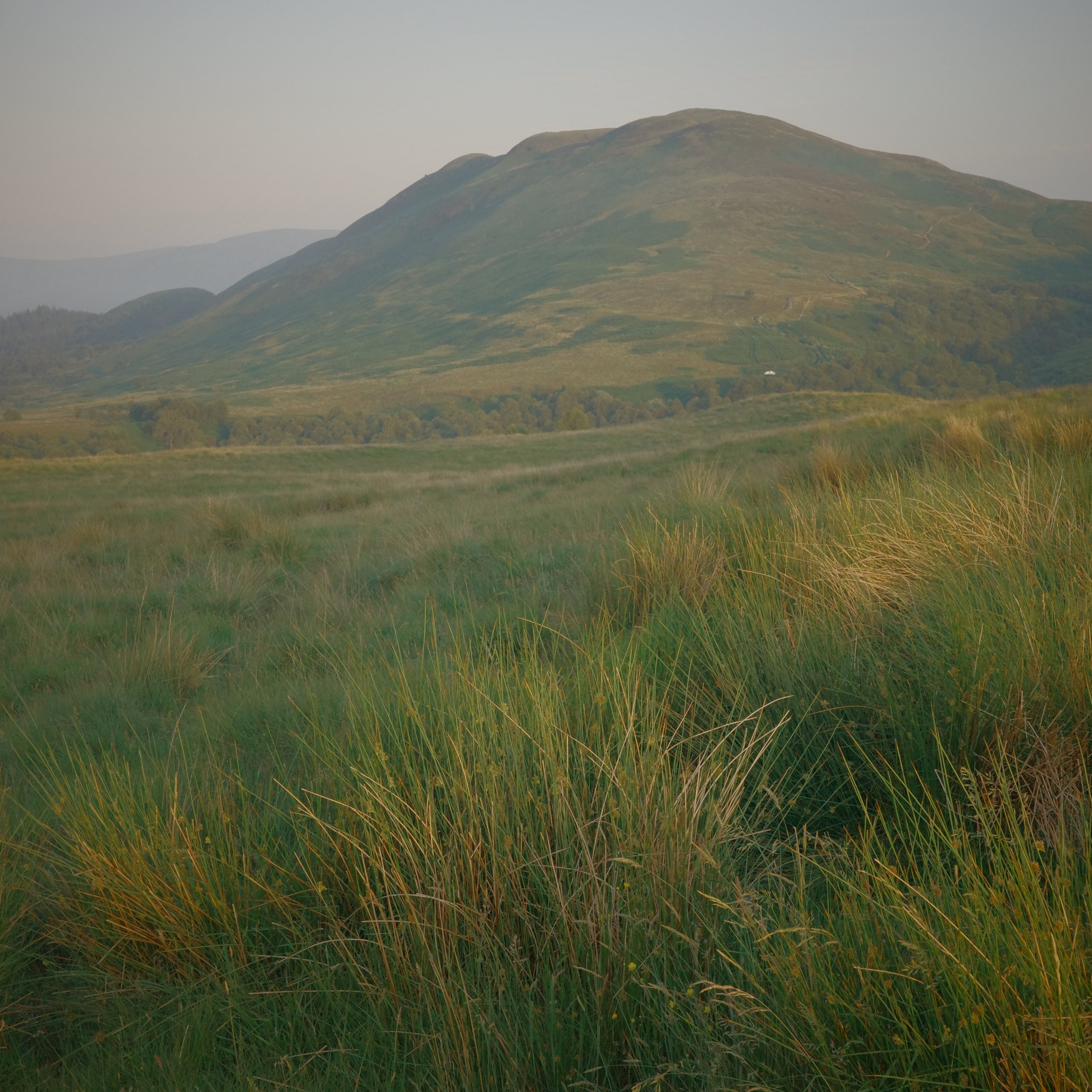 R0003764.JPG