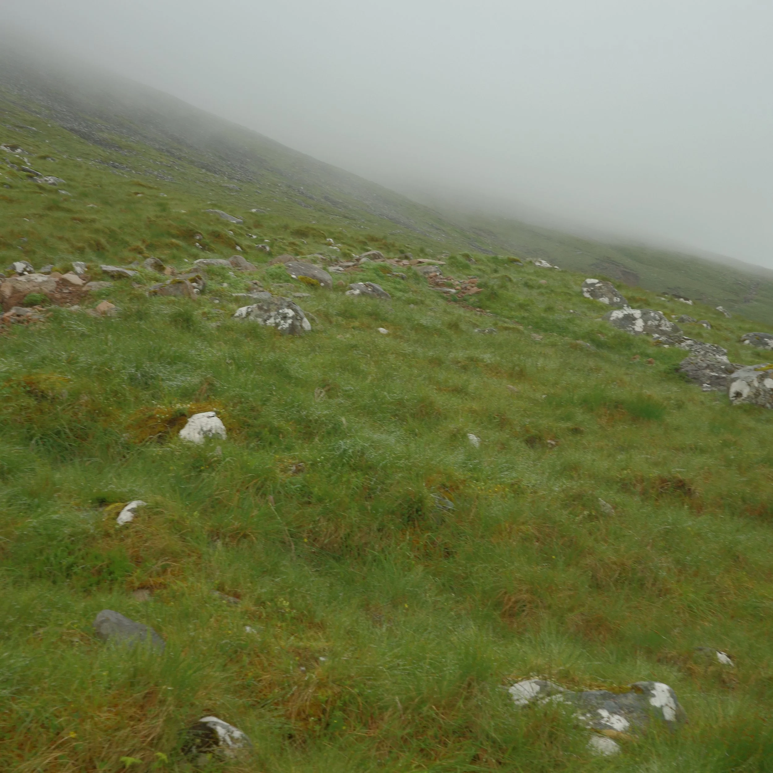R0004014.JPG