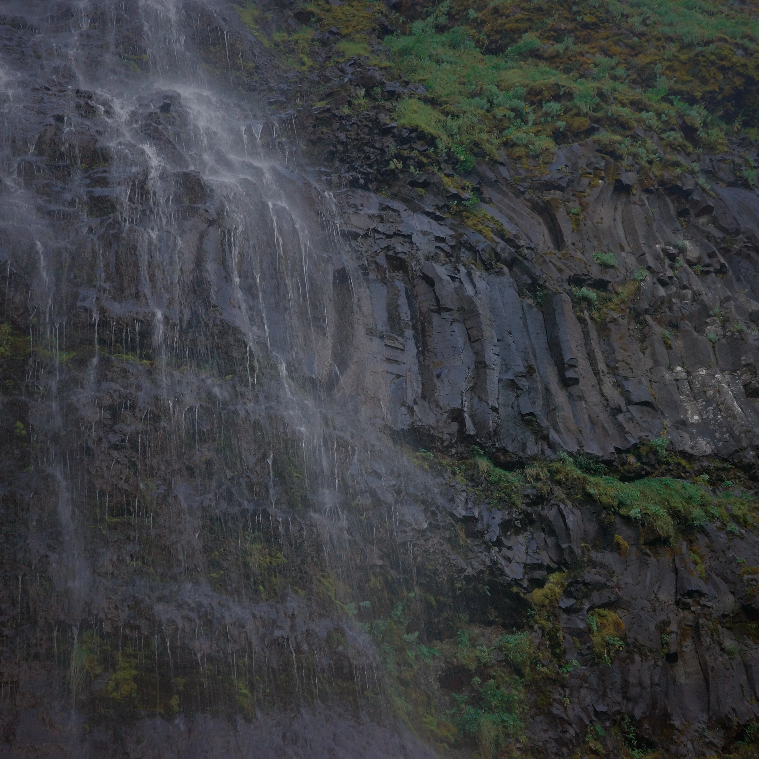 R0007641.JPG