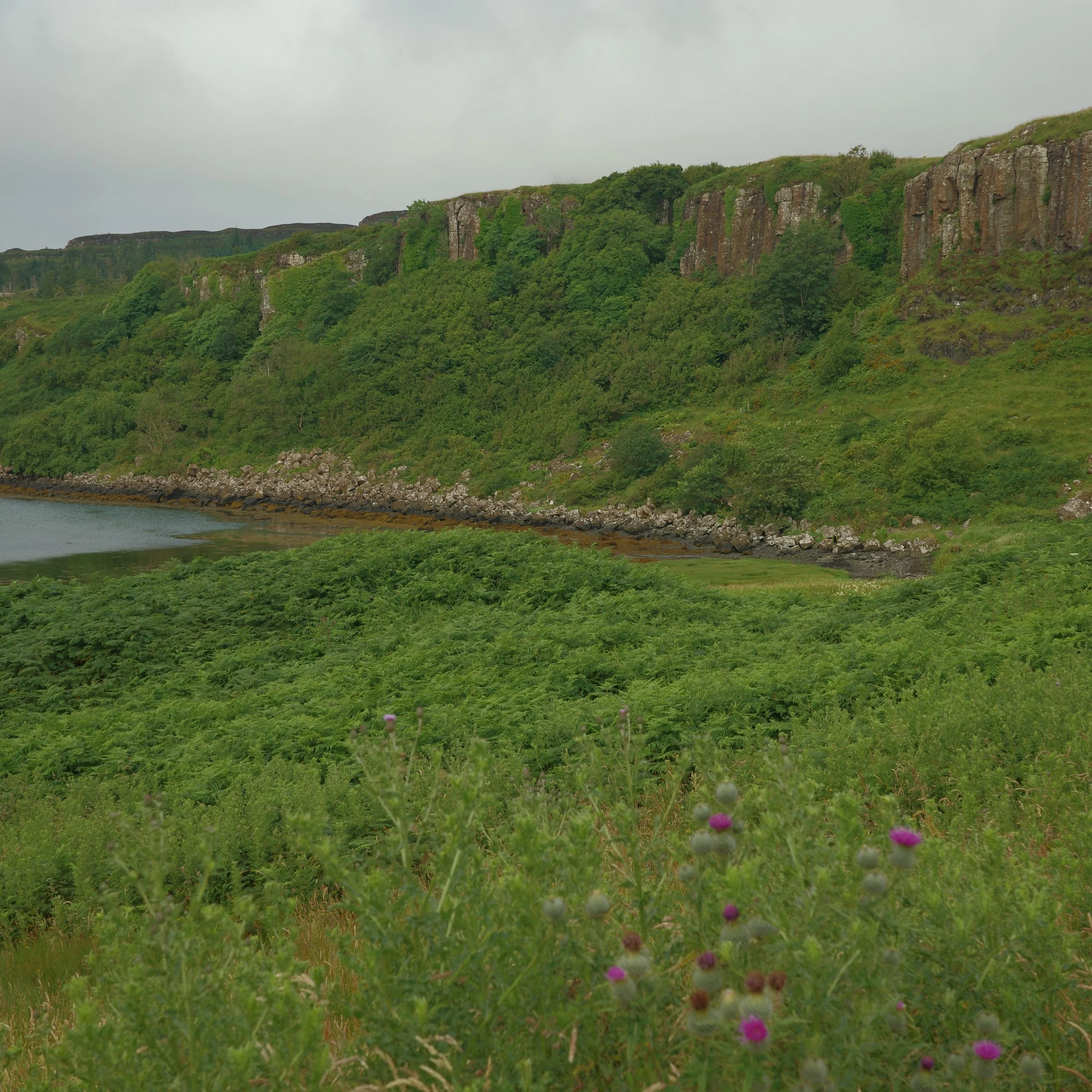 R0004706.JPG