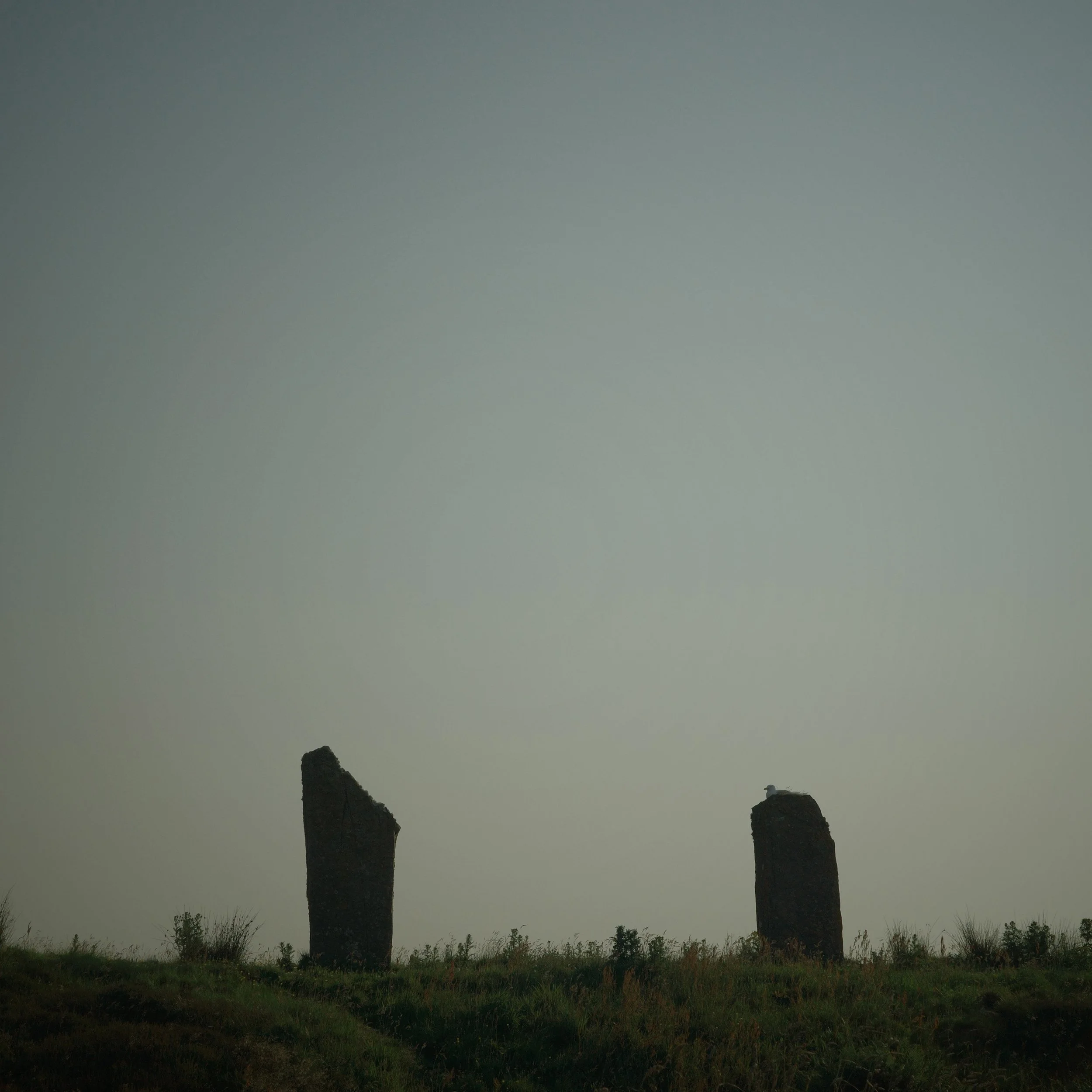 R0004342 2.jpg