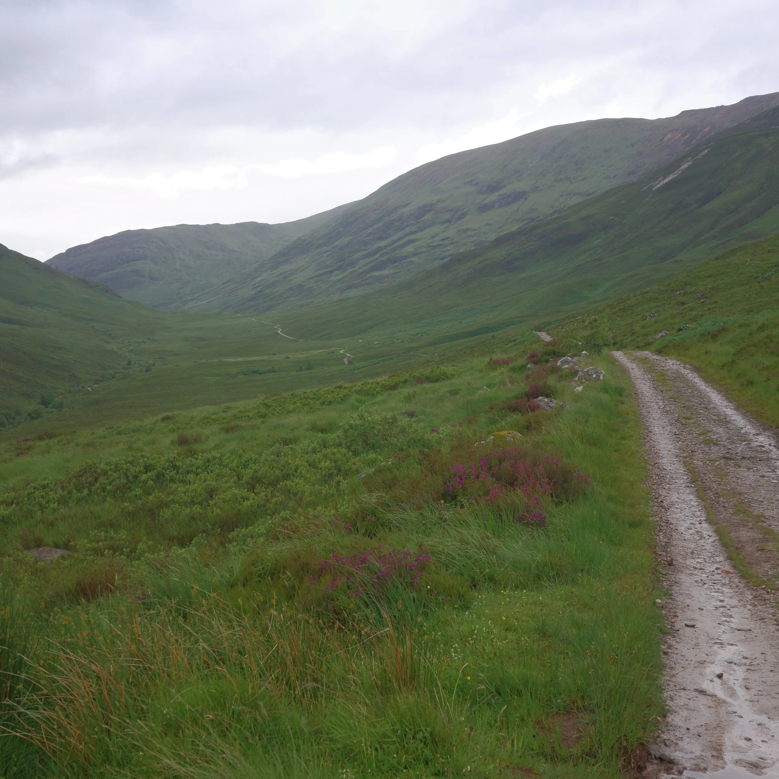 R0003981.JPG