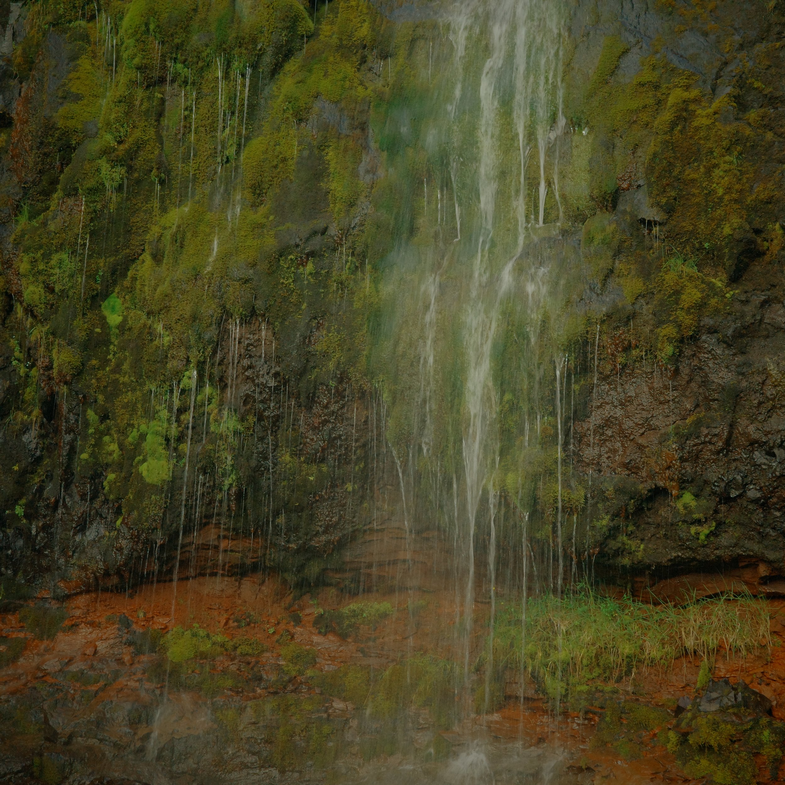 R0006329.JPG