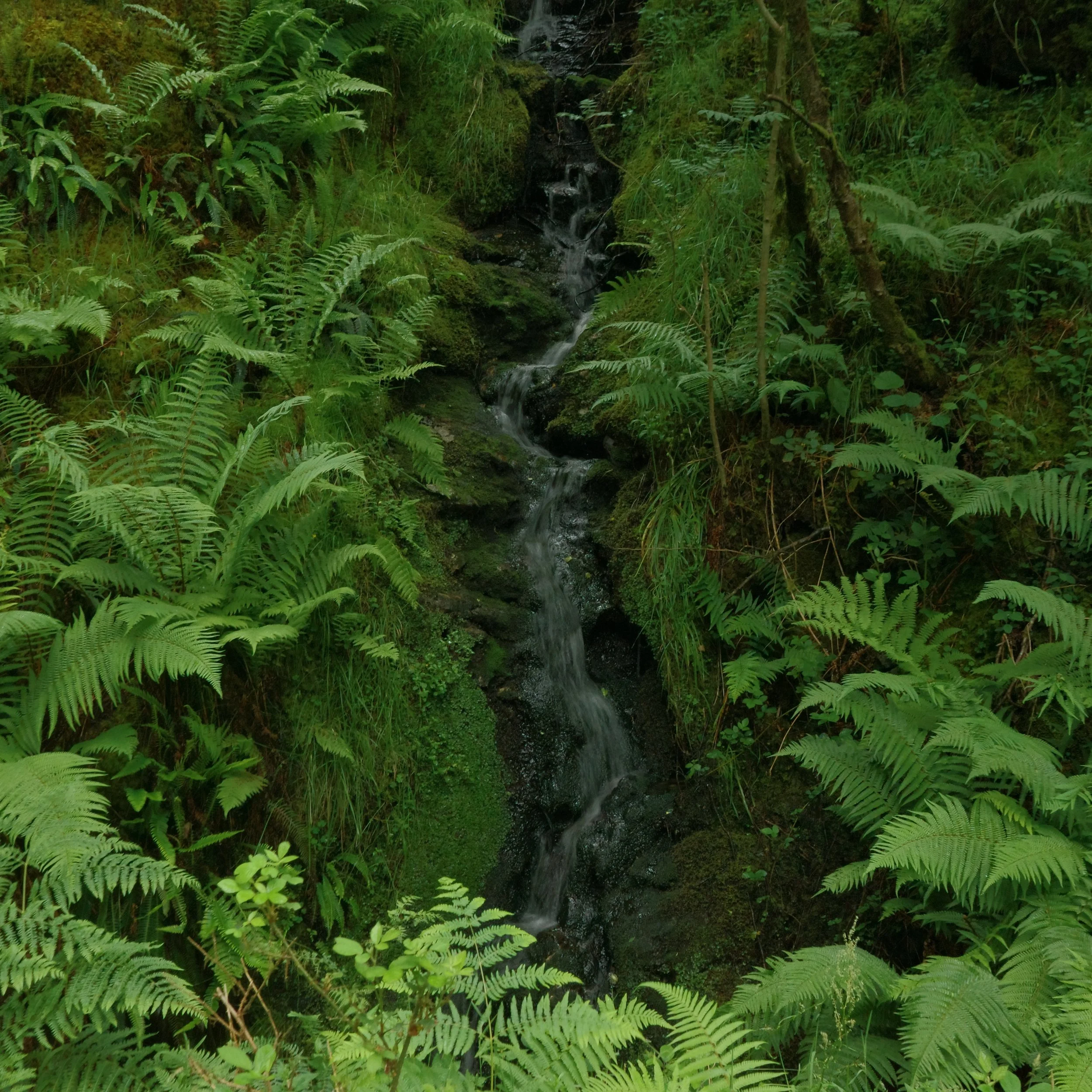 R0003827.JPG