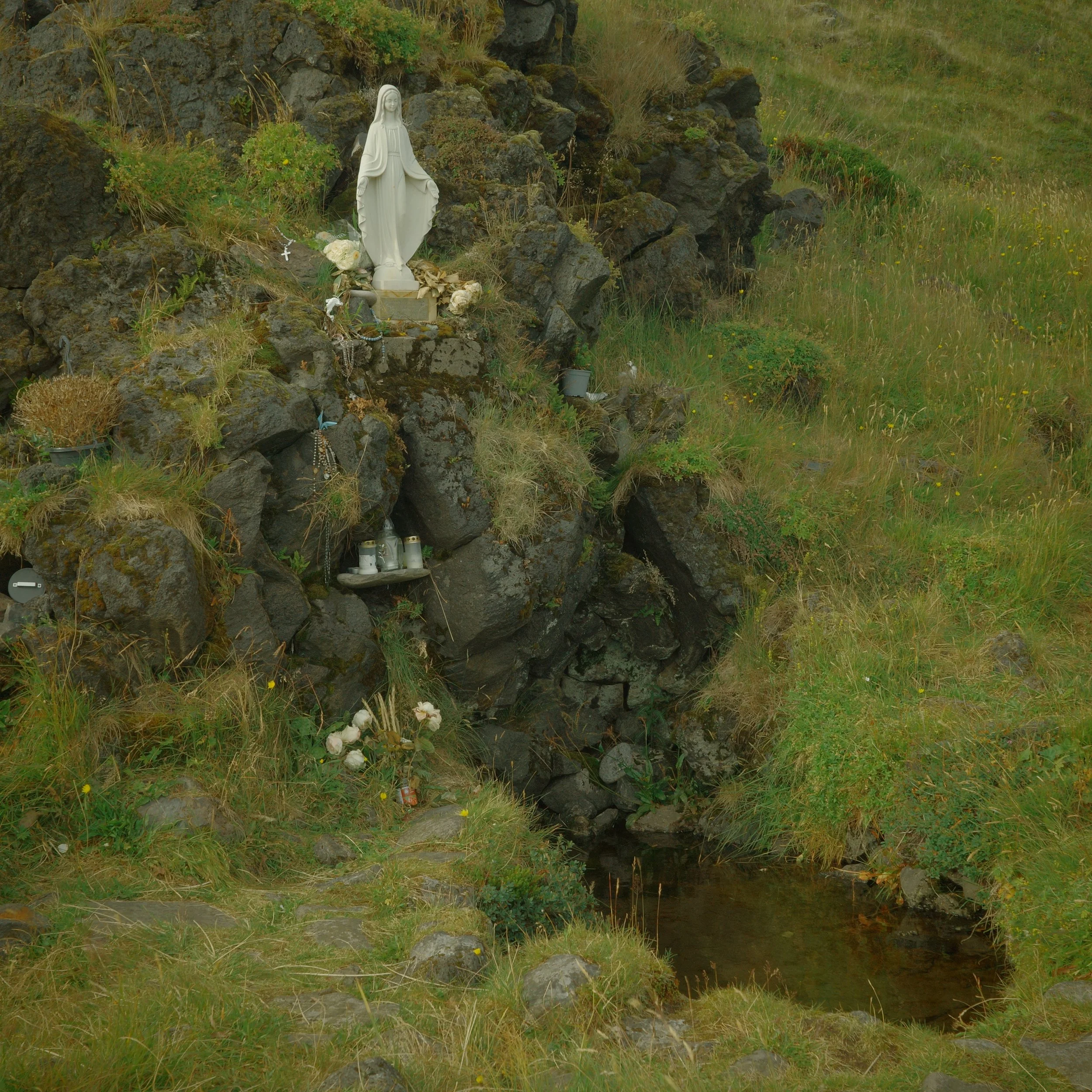 R0007412.JPG