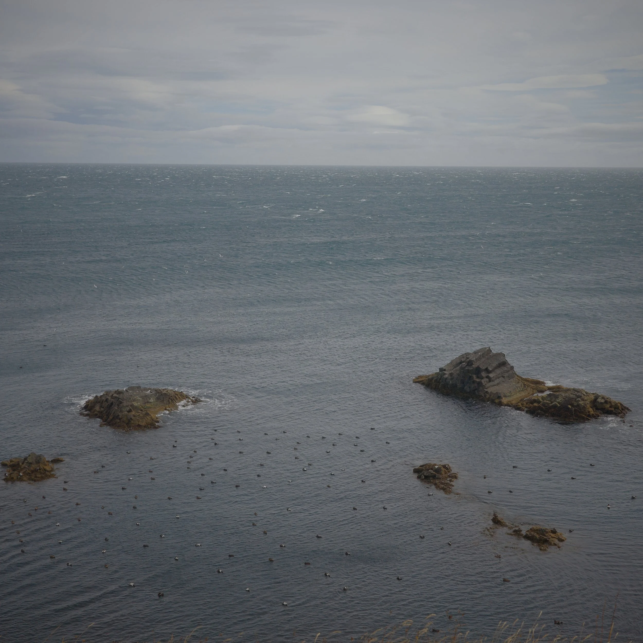 R0007334.JPG