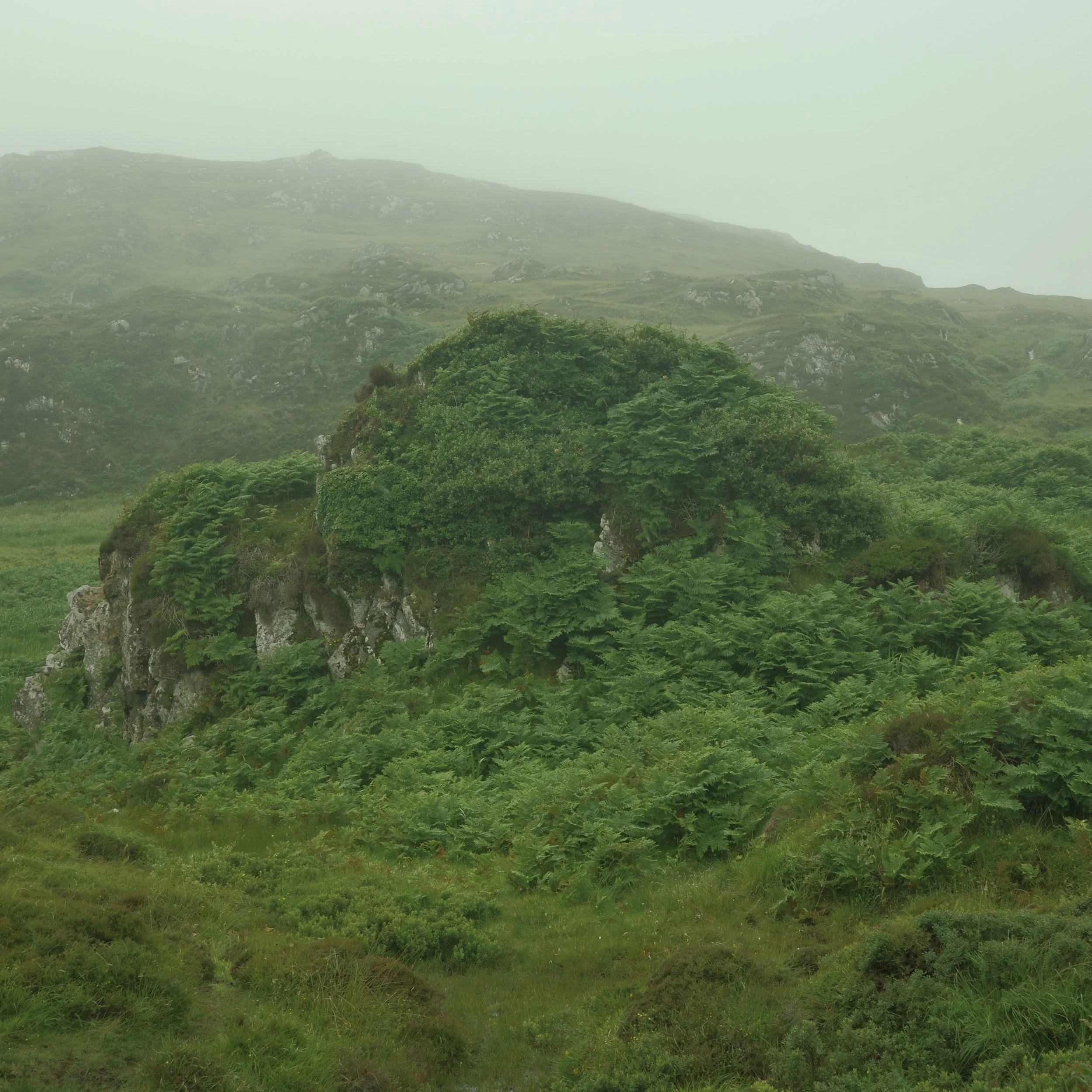 R0004081.jpg