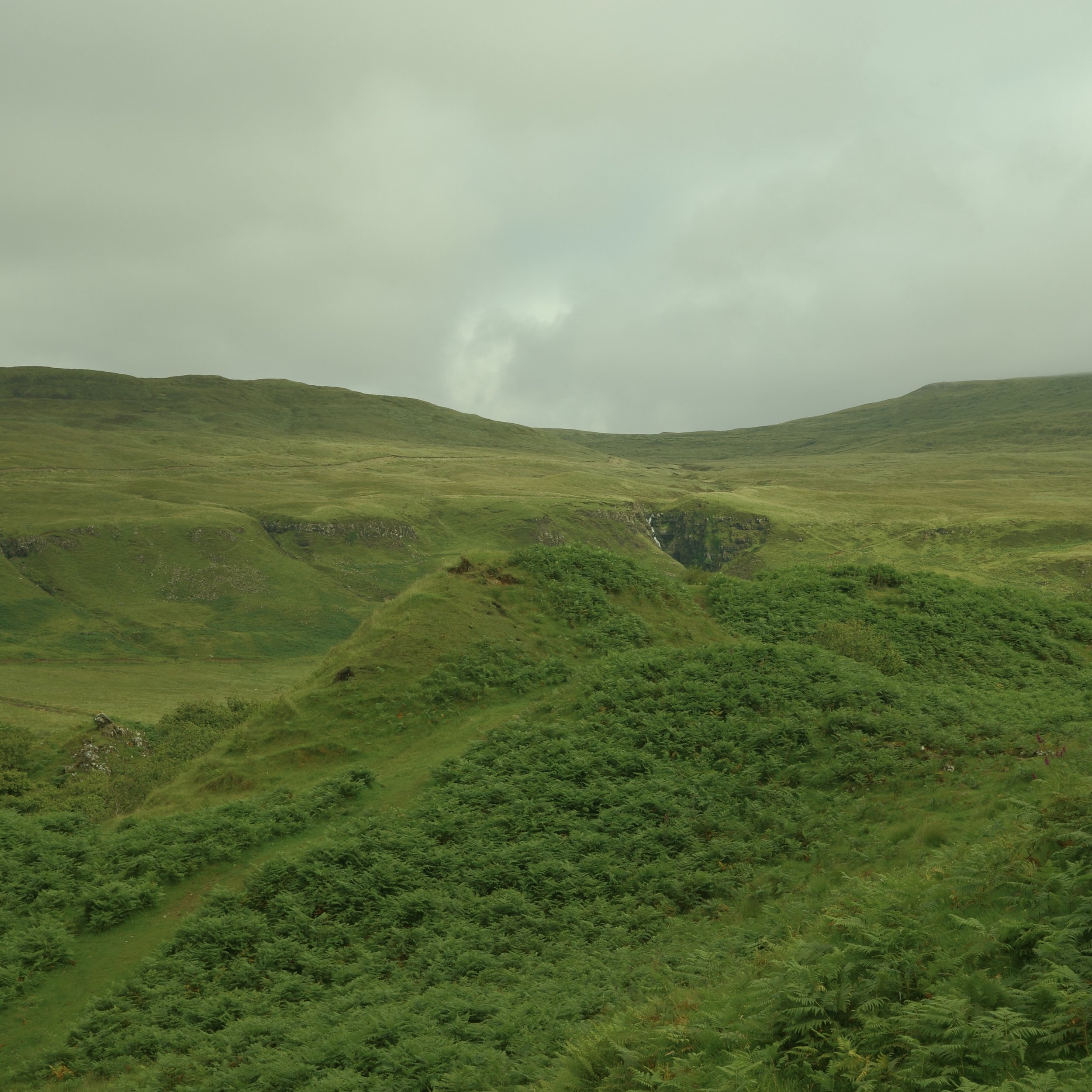 R0004864.jpg