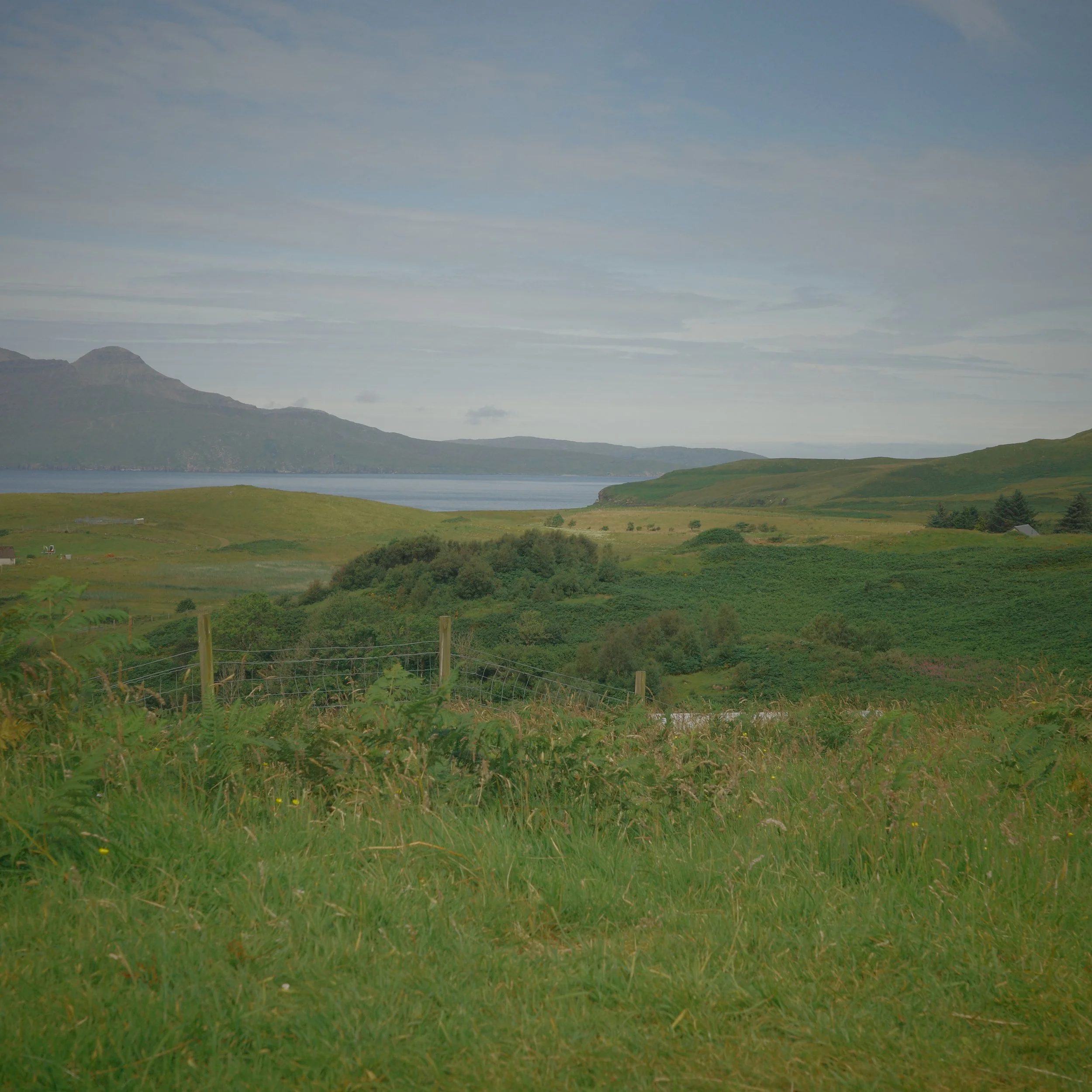 R0004676.JPG