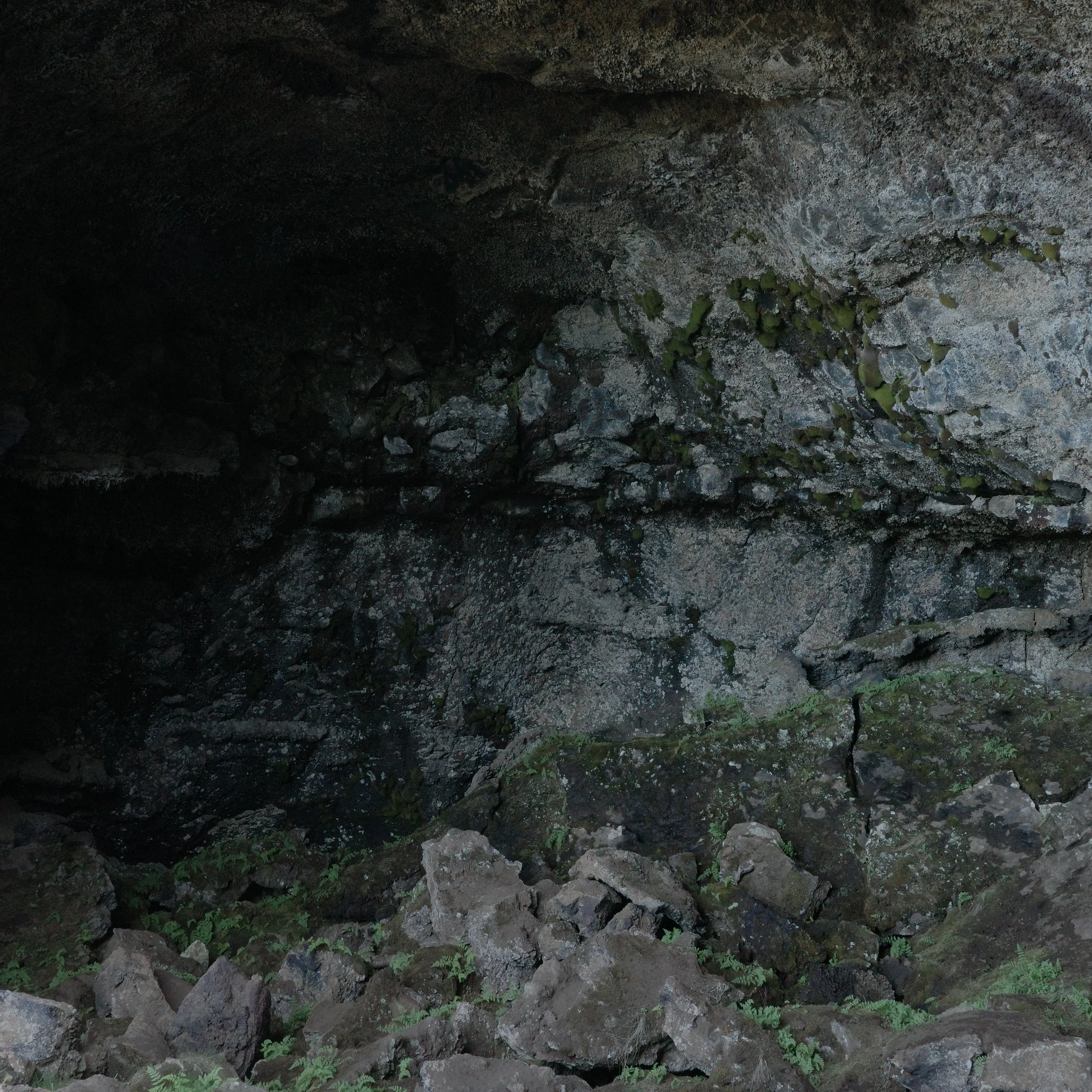 R0006759.JPG