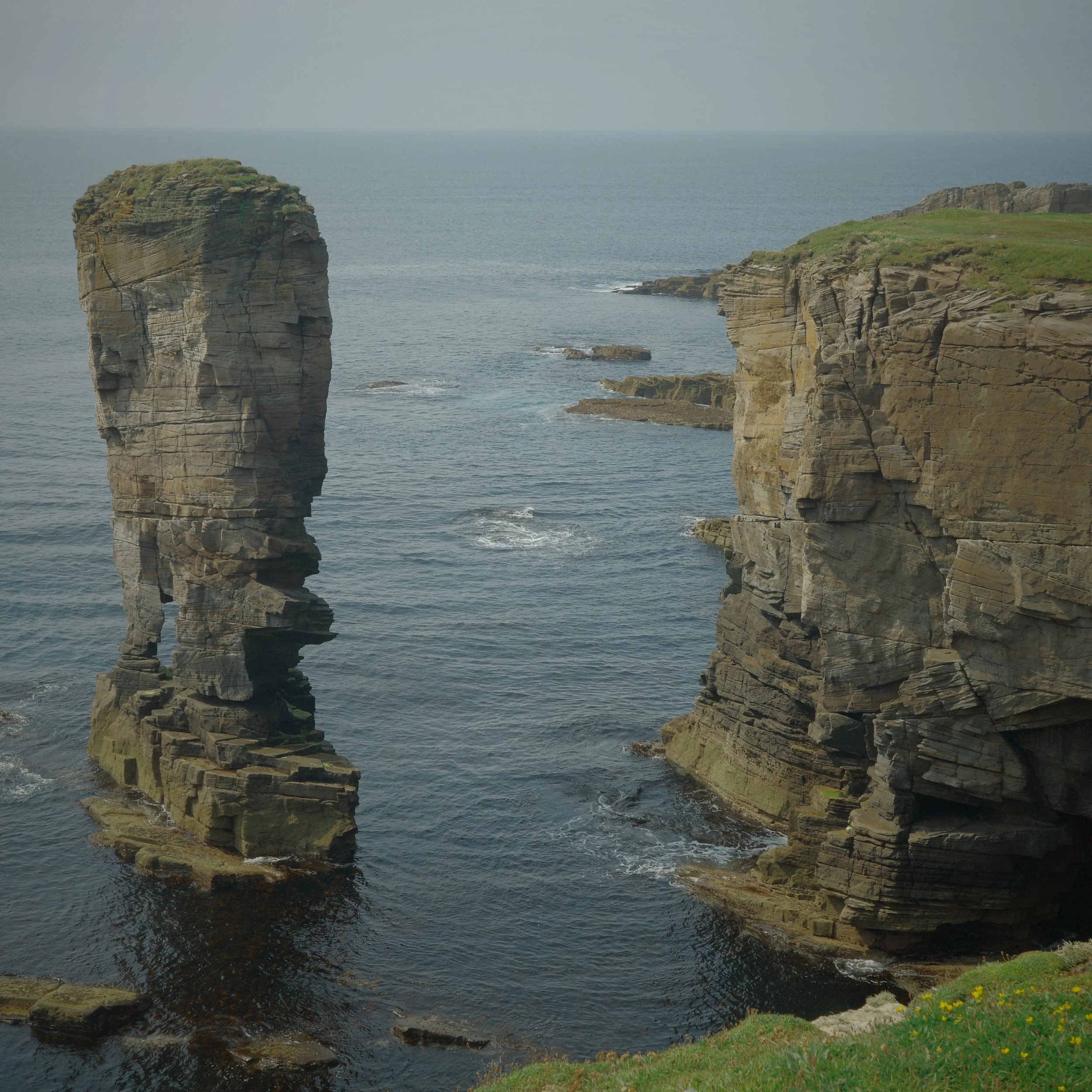 R0004433 2.JPG