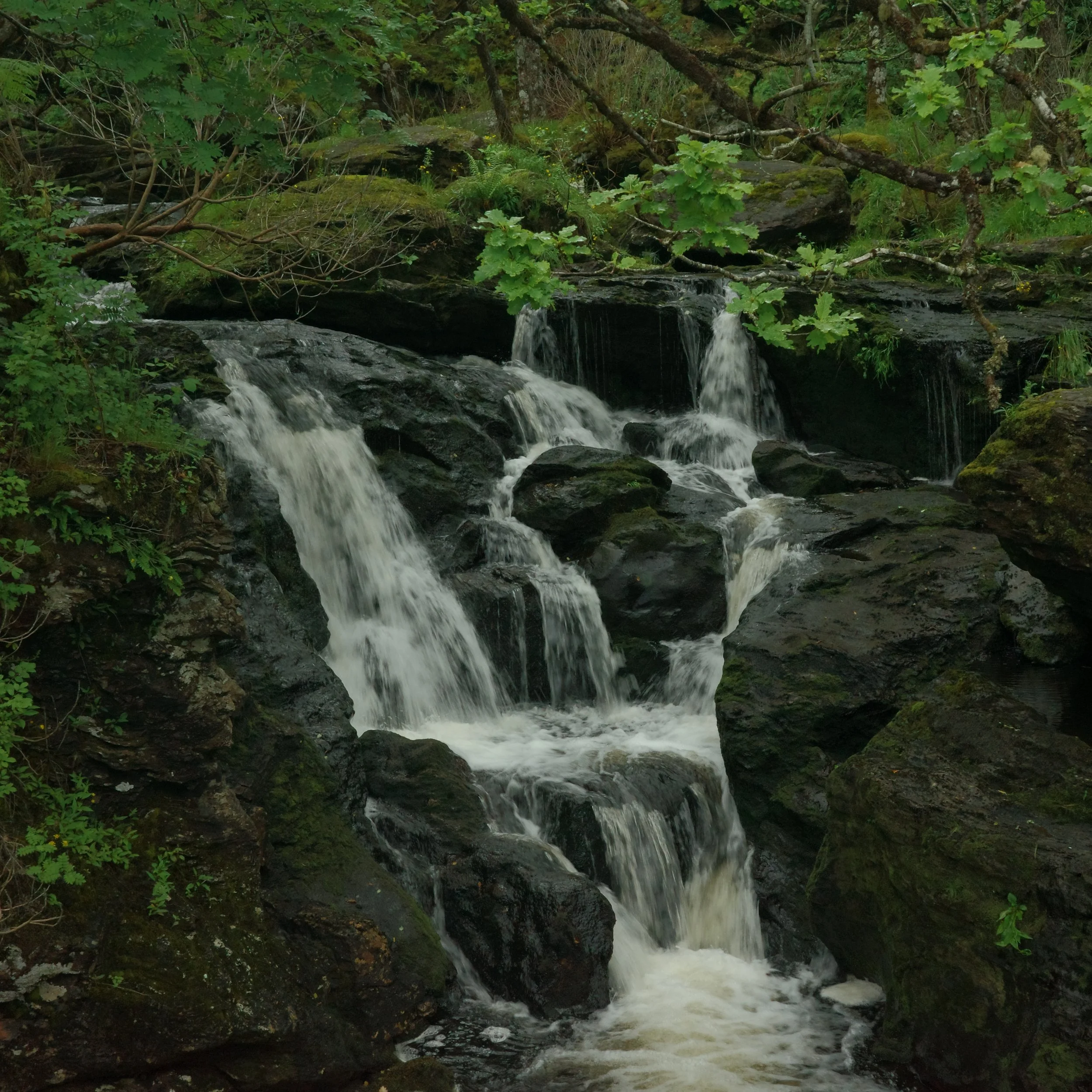 R0003836.JPG