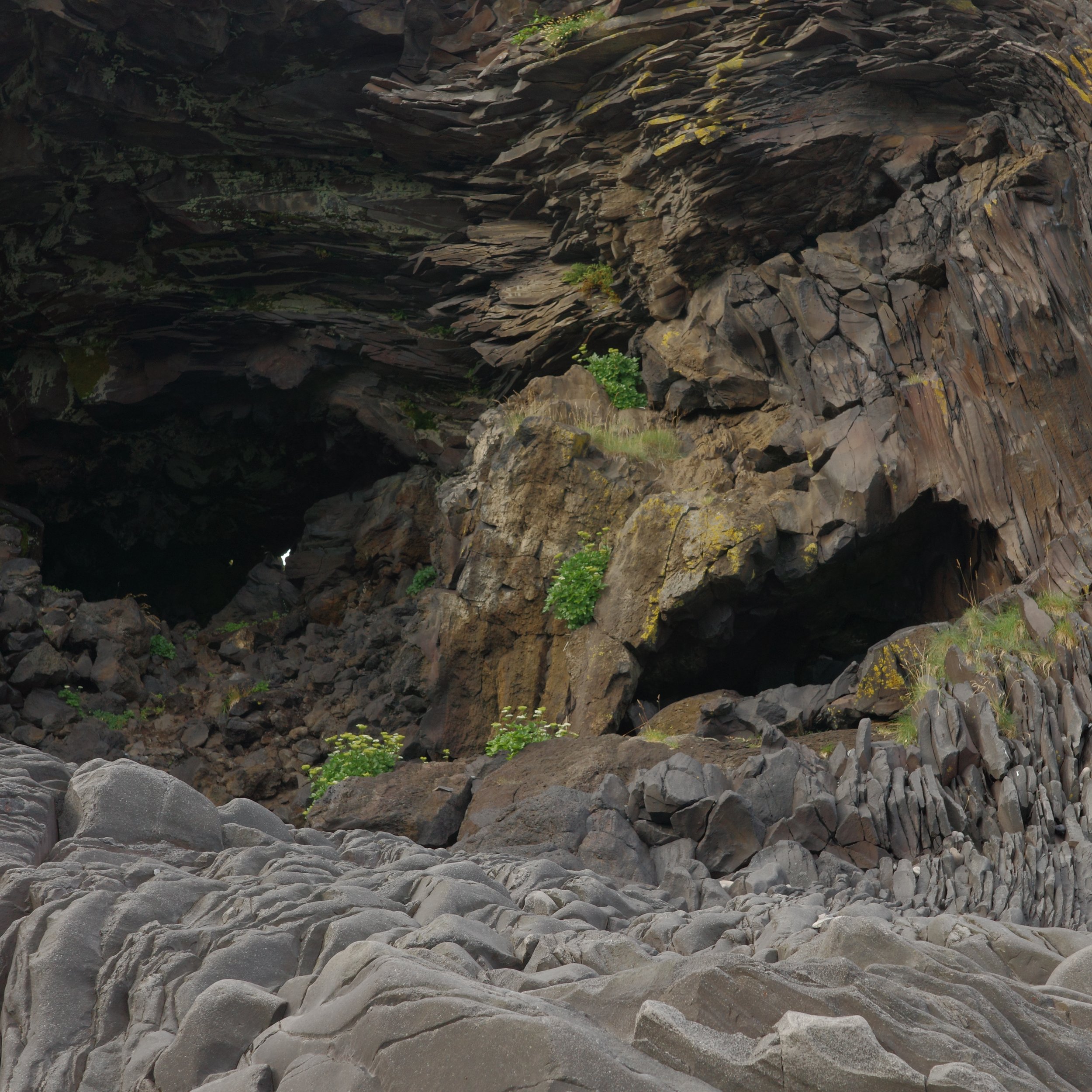 R0007377.JPG