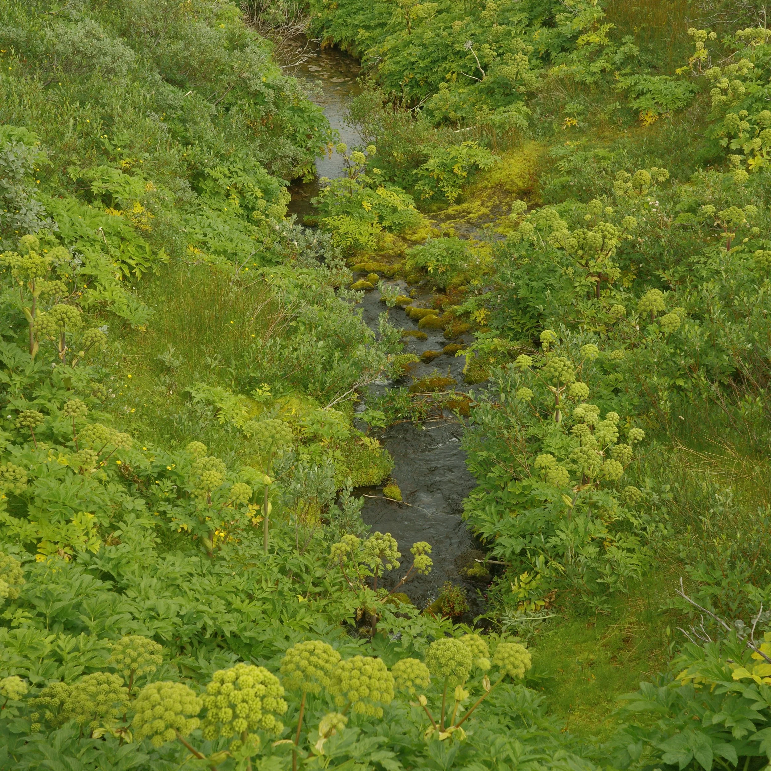 R0007062.JPG