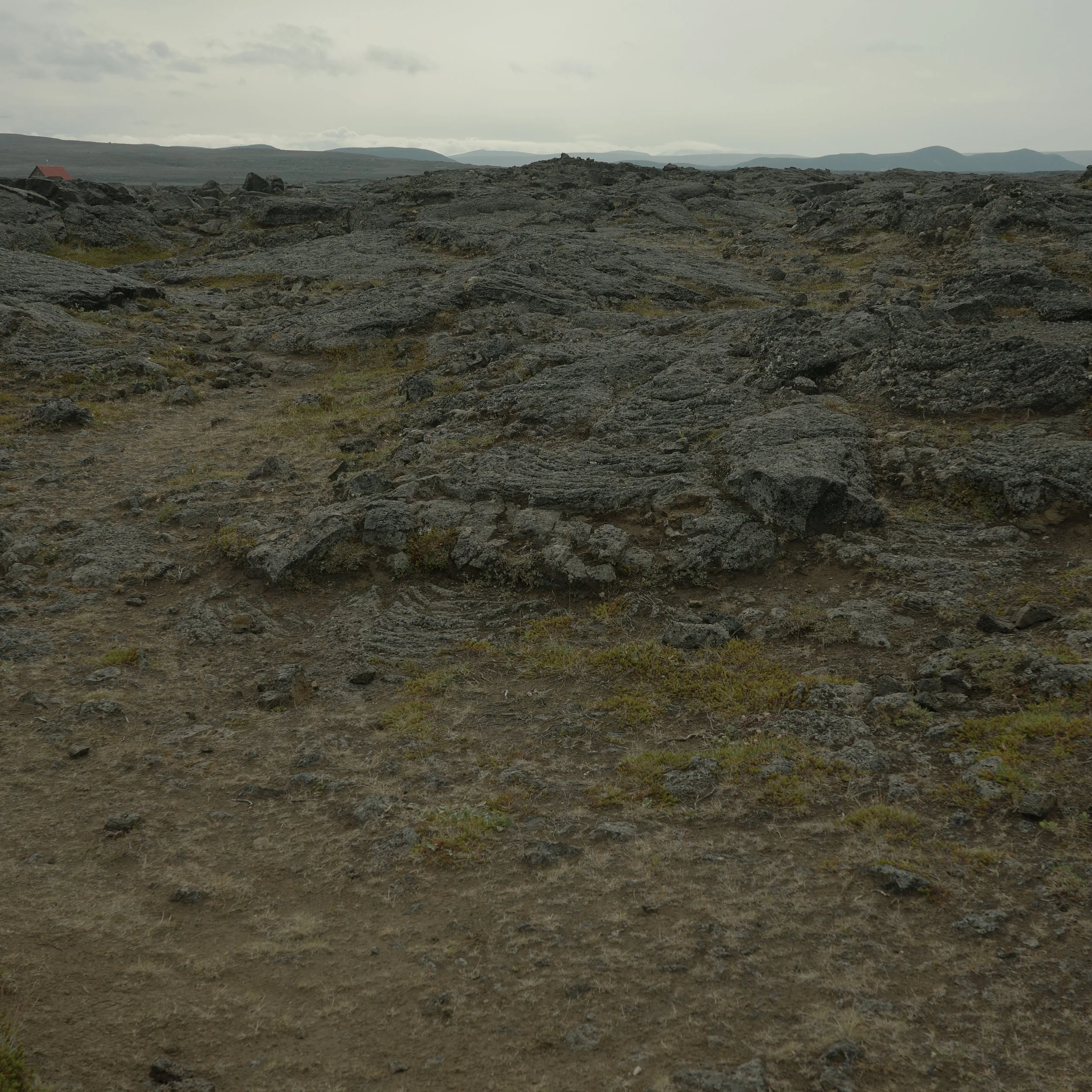 R0007069.JPG